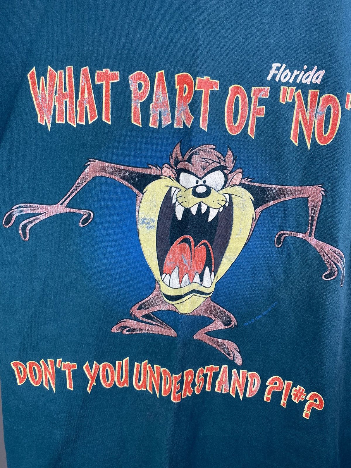 Band Tees × Vintage Vintage 90s Looney Tunes Taz “What Part of No” Florida Tee Size US L / EU 52-54 / 3 - 5 Thumbnail