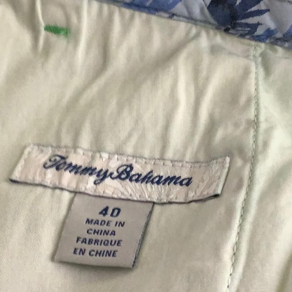 Tommy Bahama CT1751 Tommy Bahama Men's Faded Green Shorts 40 Size US 40 / EU 56 - 3 Thumbnail