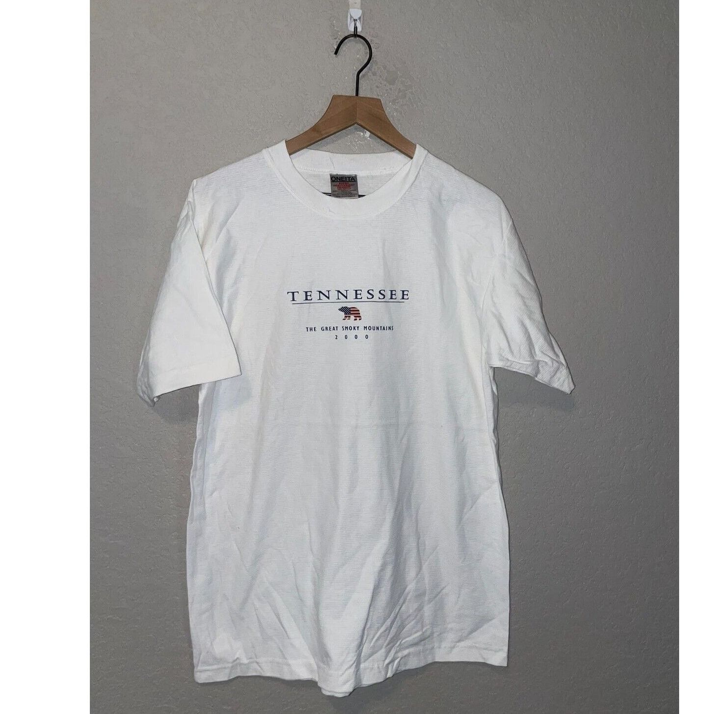 Jerzees Y2K Tennessee Shirt Great Smoky Mountains Striped White Tee Size US L / EU 52-54 / 3 - 1 Thumbnail