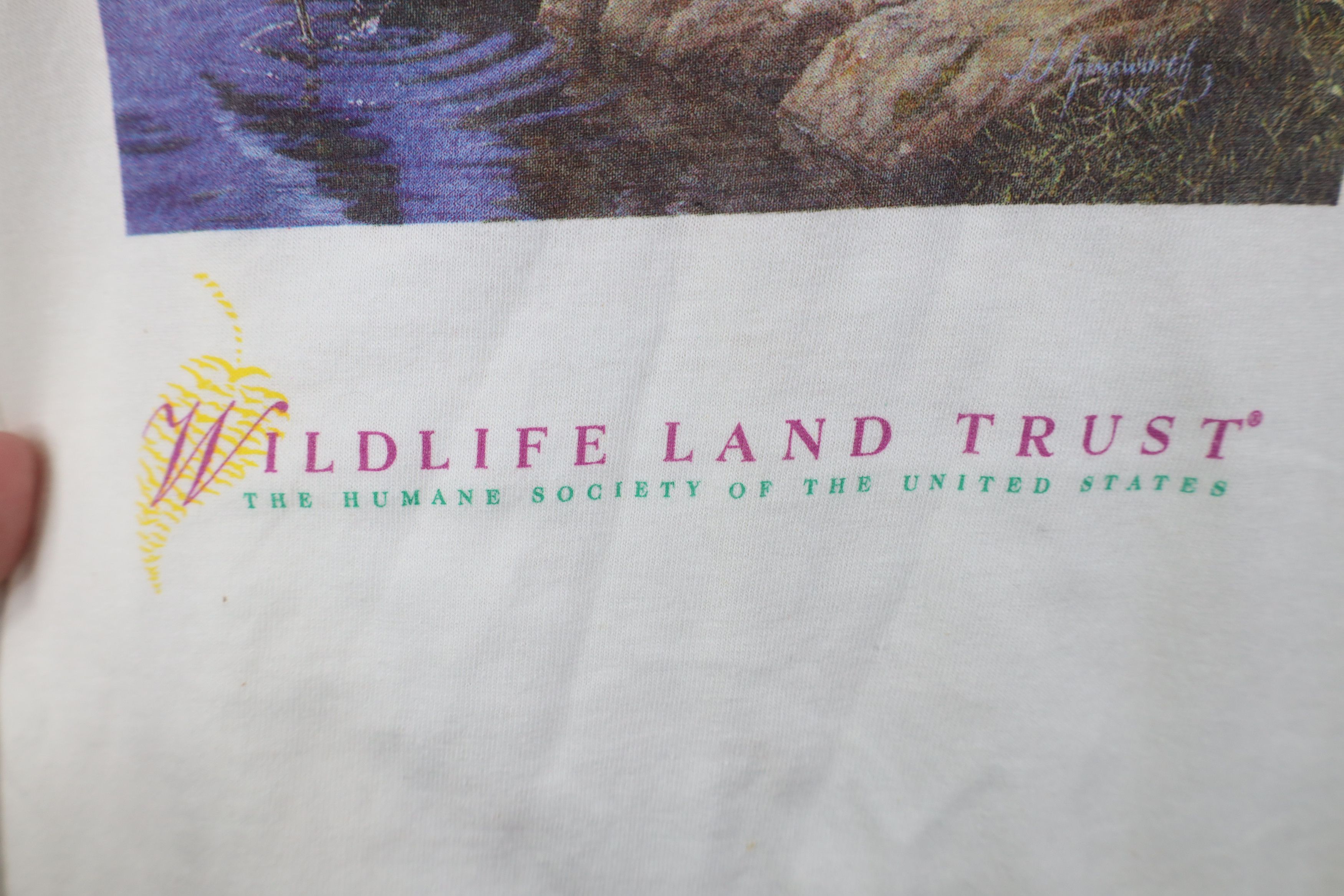 Vintage Deadstock Vintage 90s Y2K Earth Day Land Trust T-Shirt Size L / US 10 / IT 46 - 5 Thumbnail