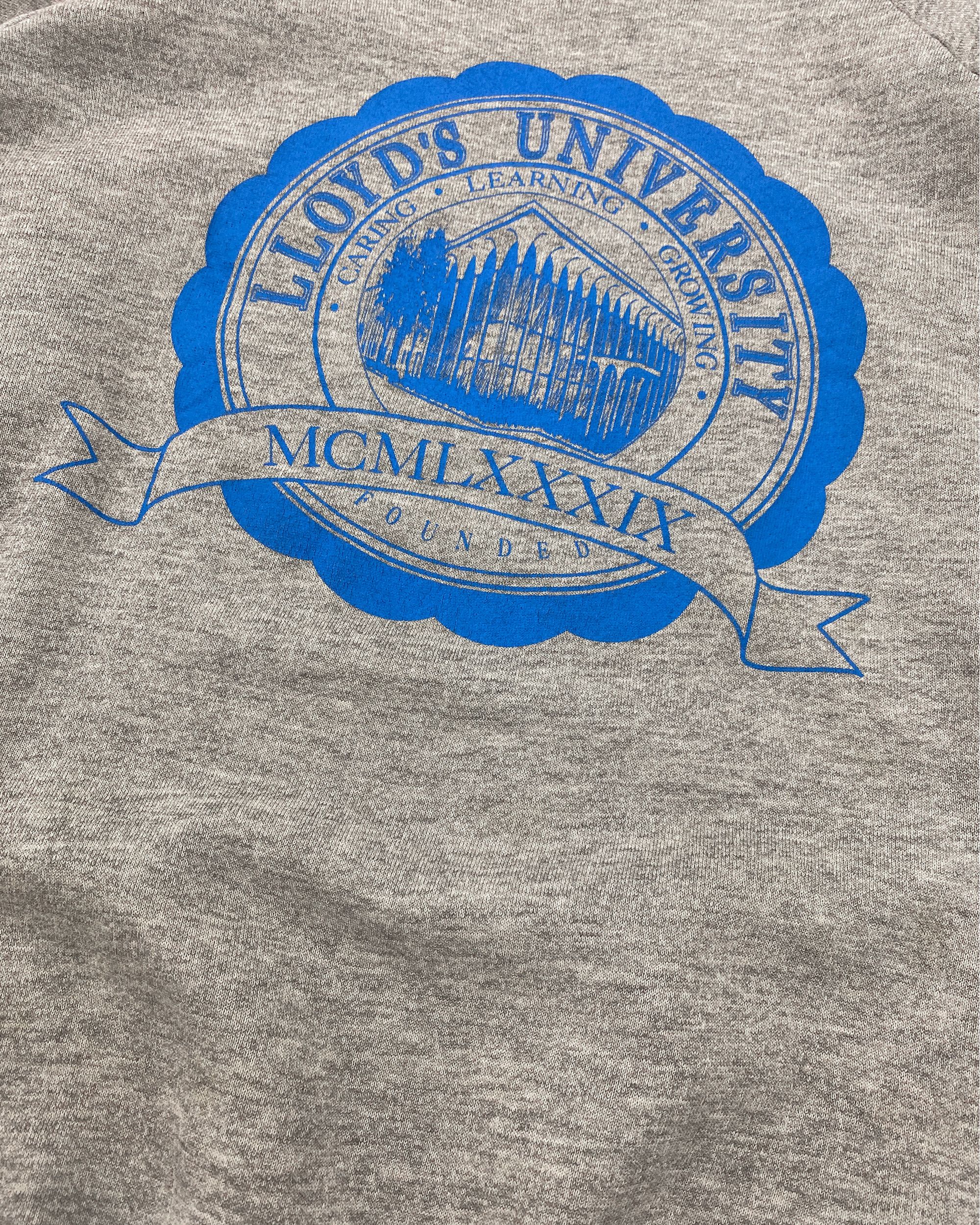 Vintage 1990s Lloyd's University Raglan Crewneck Size US XL / EU 56 / 4 - 5 Thumbnail