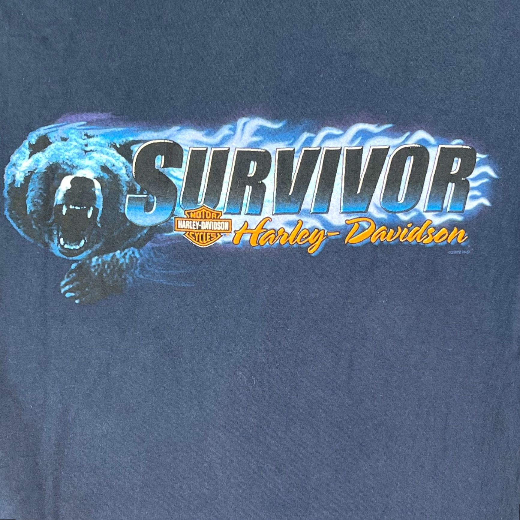 Harley Davidson VINTAGE Harley-Davidson Motorcycle Graphic T-Shirt XL Blue 2002 Black River Falls Mens Size US XL / EU 56 / 4 - 2 Thumbnail