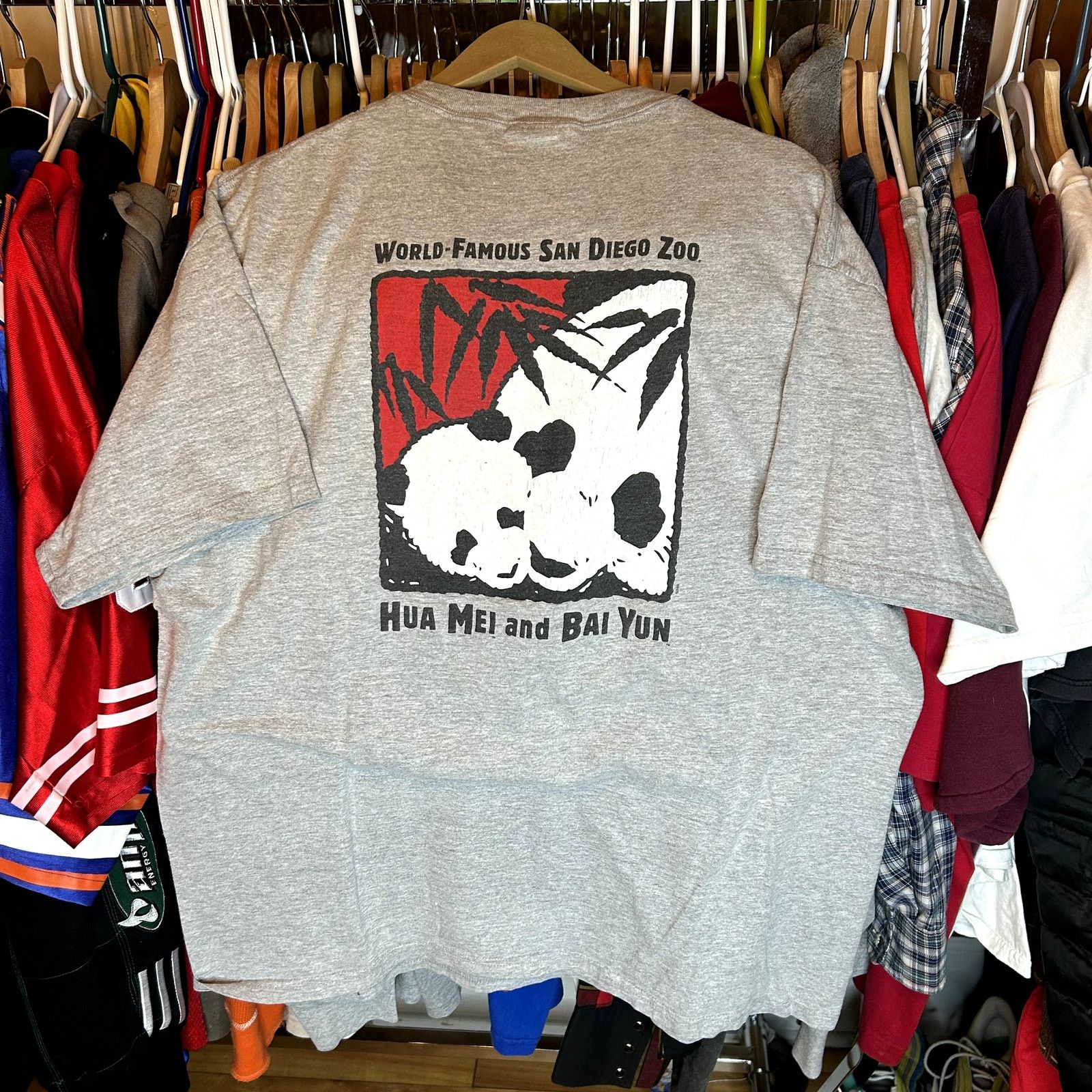 Hanes Y2K San Diego Zoo Pandas T-Shirt XL Size US XL / EU 56 / 4 - 1 Thumbnail