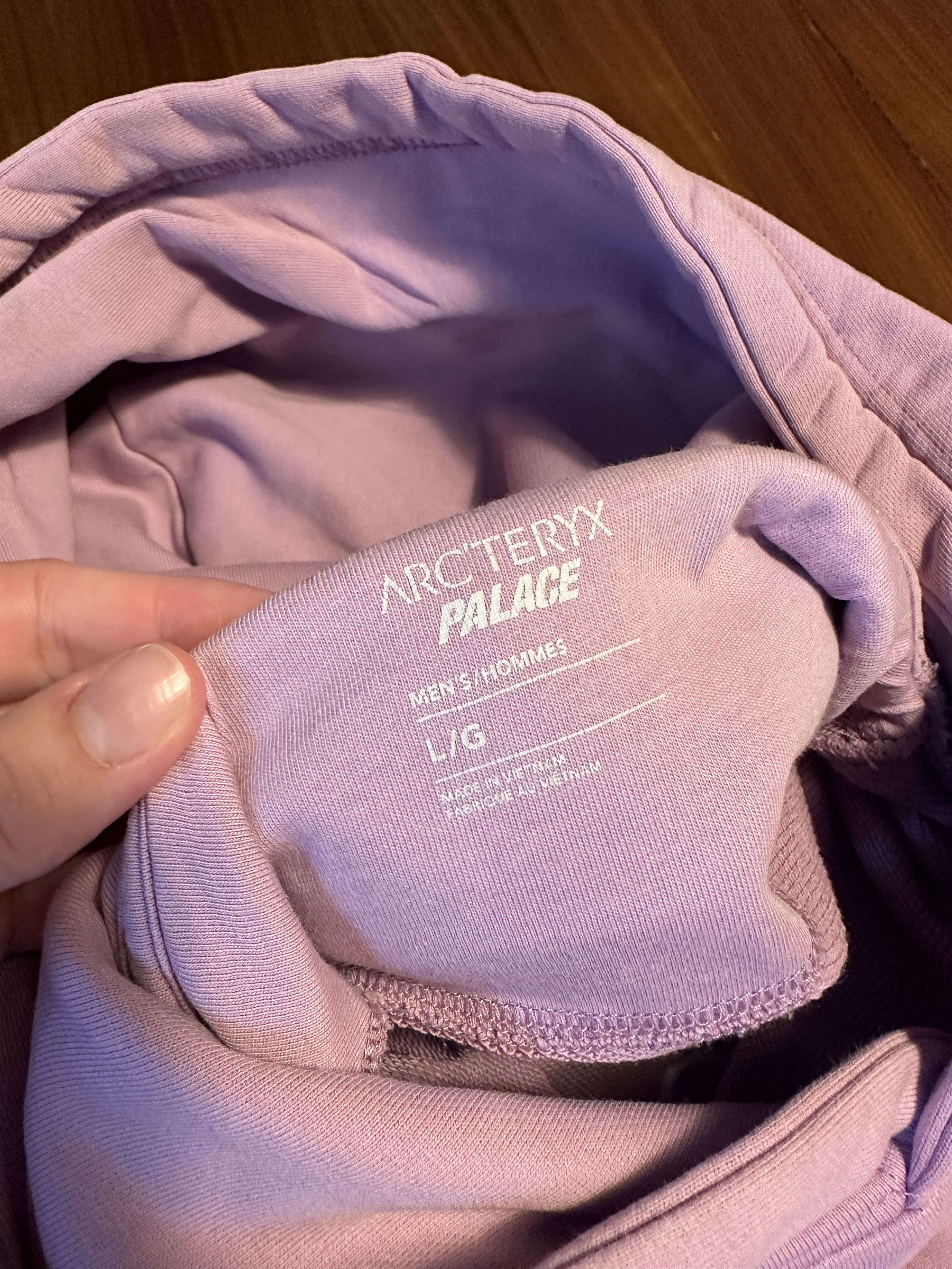 Arc'teryx × Palace Arc'Teryx x Palace Hoodie Size US L / EU 52-54 / 3 - 5 Thumbnail
