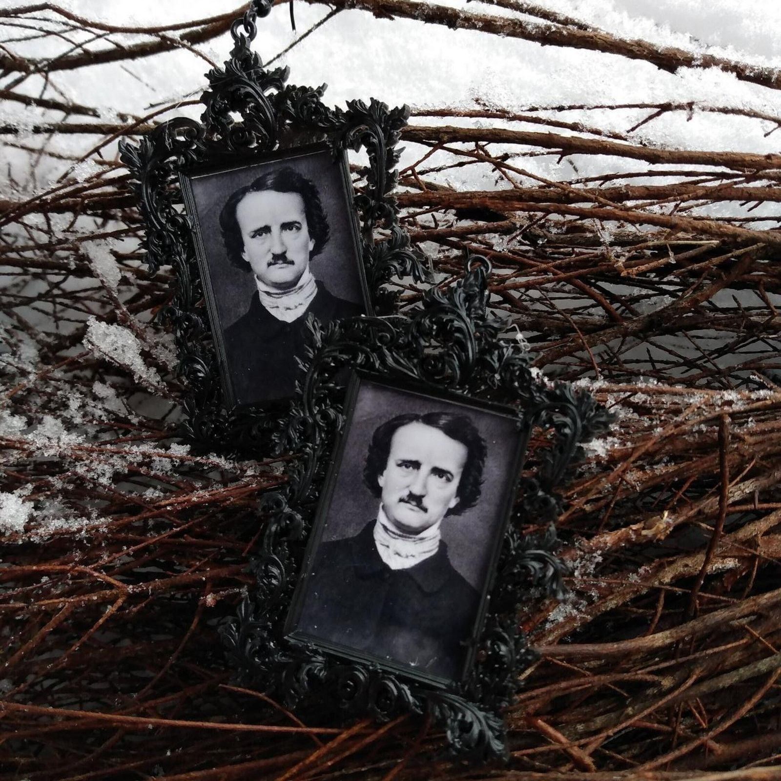 Edgar Allan Poe Earrings Gothic Poet Gloom Horror Novelist