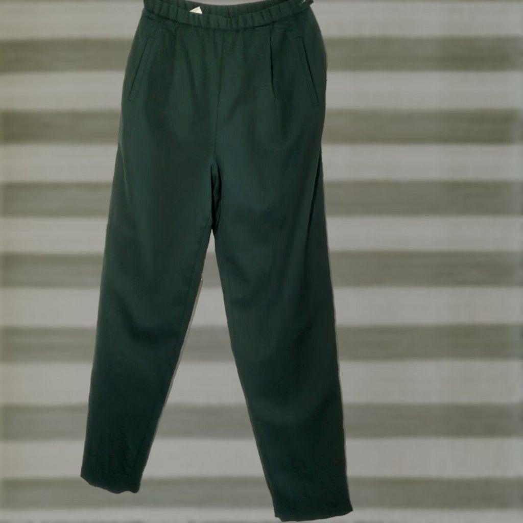 Pendleton VINTAGE Pendleton Wool Pants Size 8 Women Dress Pants Straight Pleated Lined Zip Button 25" Waist 29" Inseam Hunter Green Size 30" / US 8 / IT 44 - 1 Thumbnail