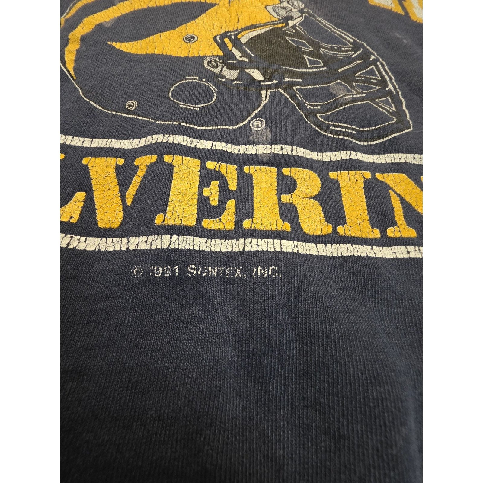 Fruit Of The Loom Michigan Wolverines Vintage 1991 Fruit Of The Loom Men's Size US XL / EU 56 / 4 - 2 Thumbnail