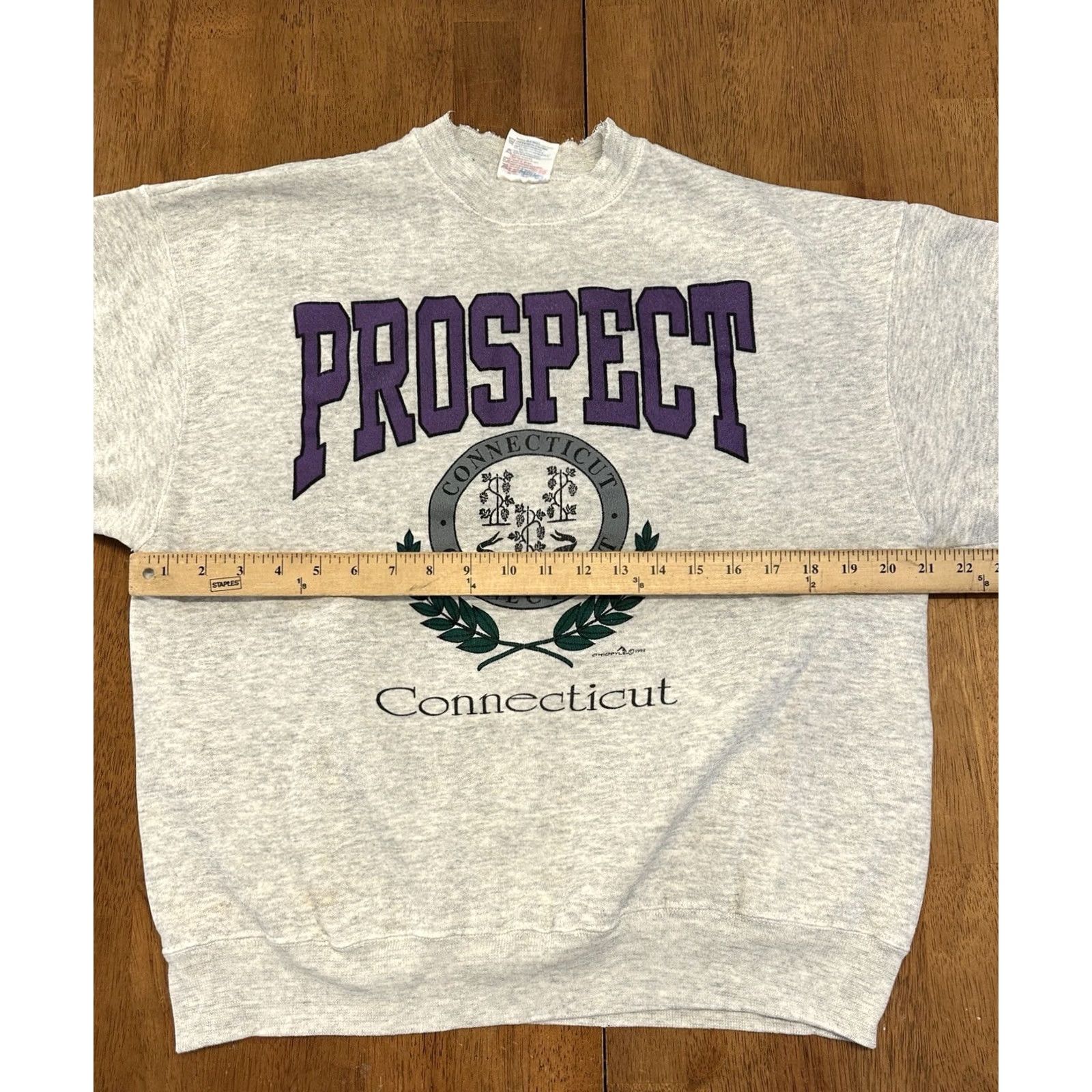 Hanes VINTAGE 90s Prospect Connecticut Sweatshirt XL Ohiopyle 1992 Crewneck Gray Mens Size US XL / EU 56 / 4 - 4 Thumbnail