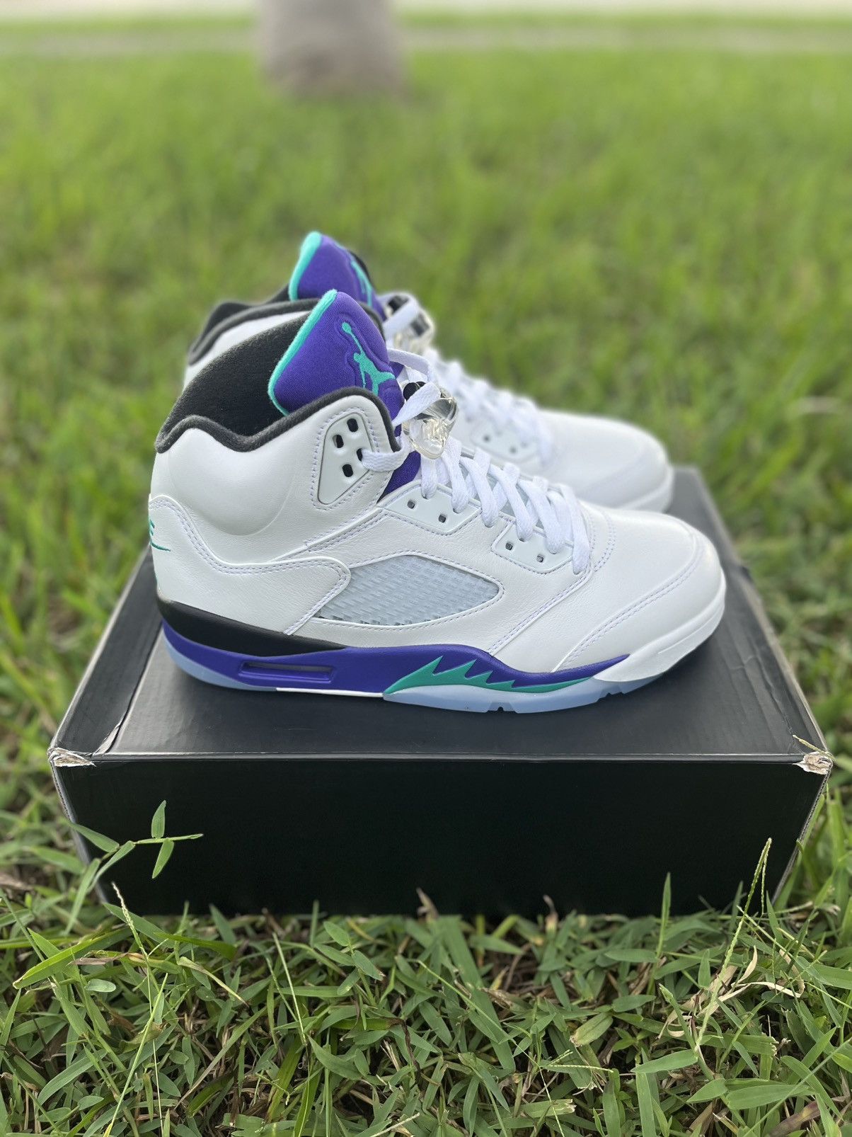 Jordan Brand ⭐️ Air Jordan 5 “Grape” Mens Size 8.5 ⭐️ Size US 8.5 / EU 41-42 - 2 Thumbnail