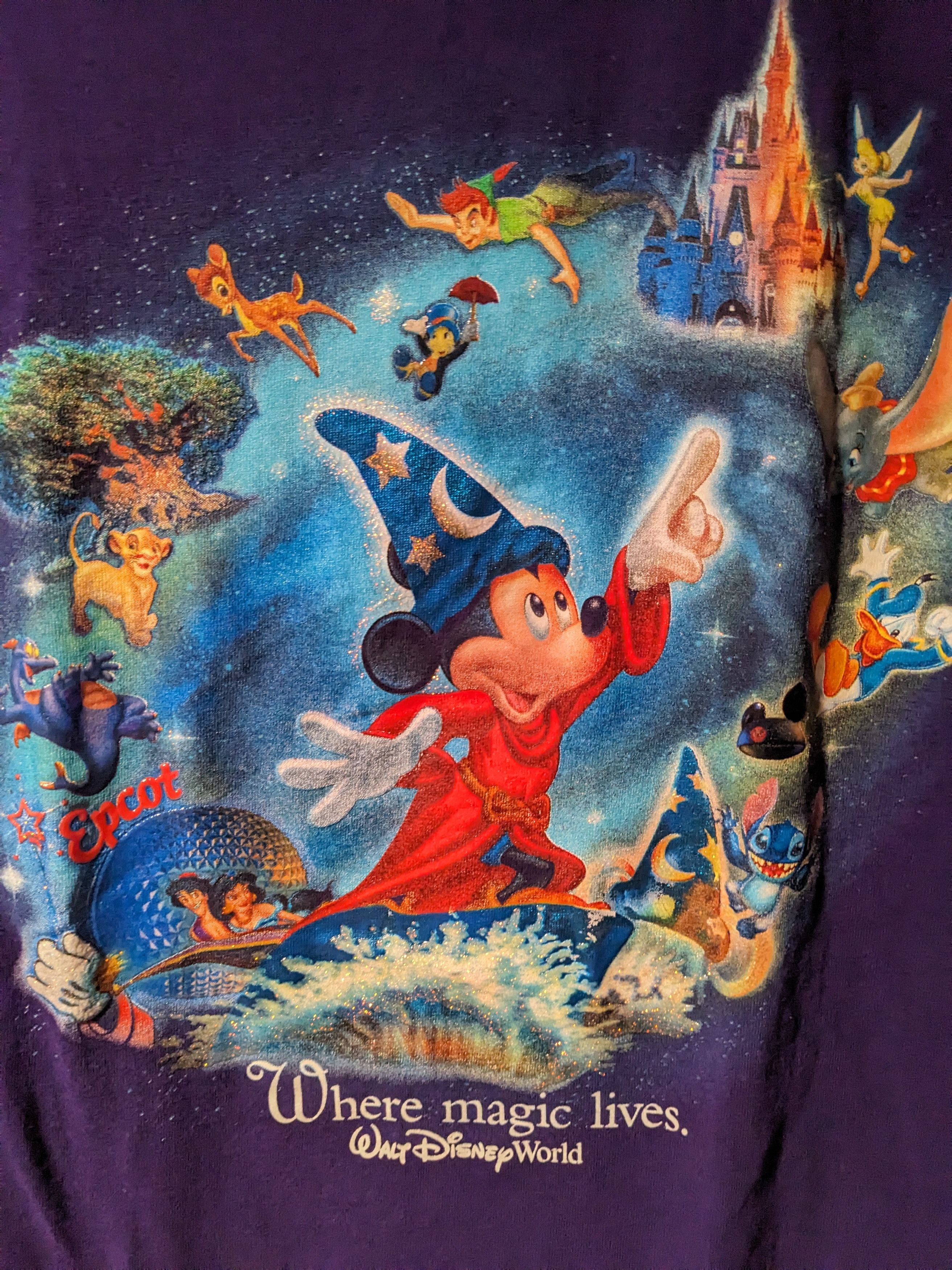 Disney × Vintage Vintage Y2K Walt Disney World Where Magic Lives T-Shirt Size US XL / EU 56 / 4 - 2 Thumbnail