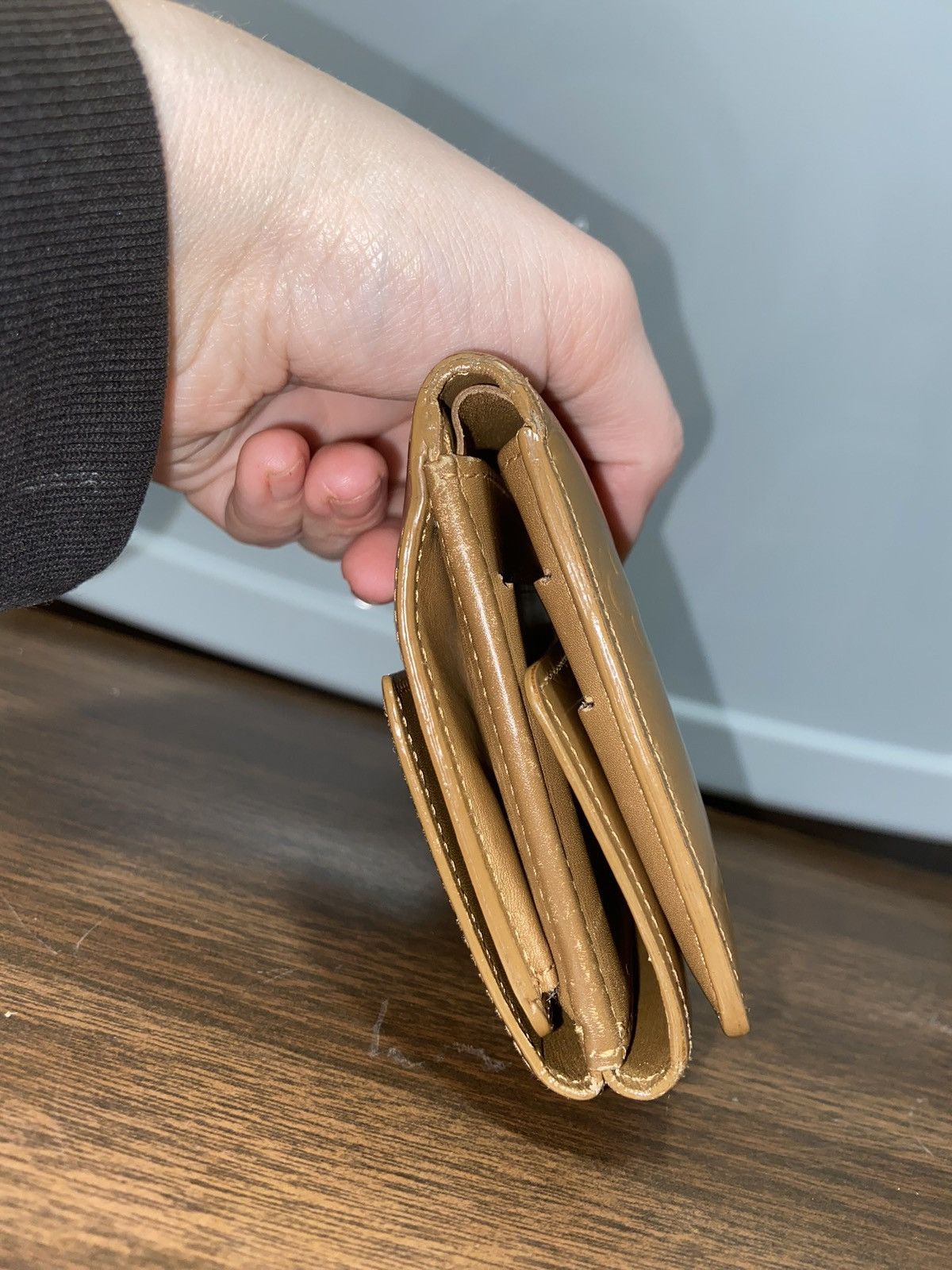 Louis Vuitton Louis Vuitton Wallet Size ONE SIZE - 15 Thumbnail