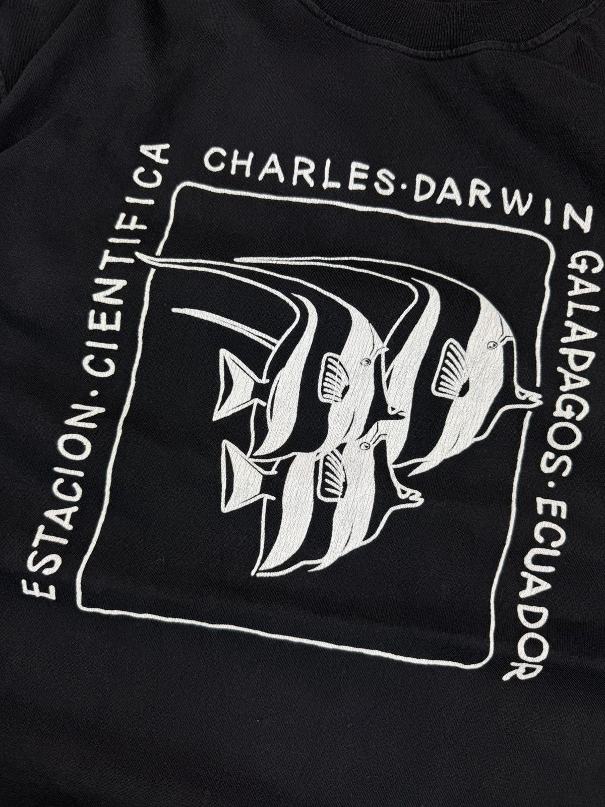 Vintage Vintage 90s charles darwin galapagos animal graphic tee fade Size US L / EU 52-54 / 3 - 5 Thumbnail