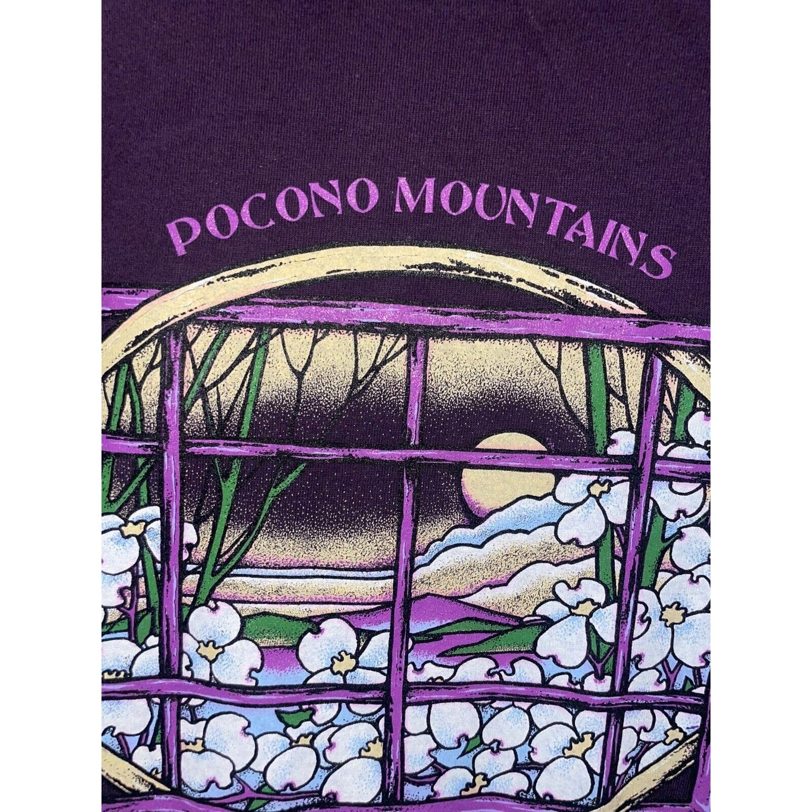 Jerzees Vintage Pennsylvania Shirt Pocono Mountans Stained Glass L Size US L / EU 52-54 / 3 - 3 Thumbnail