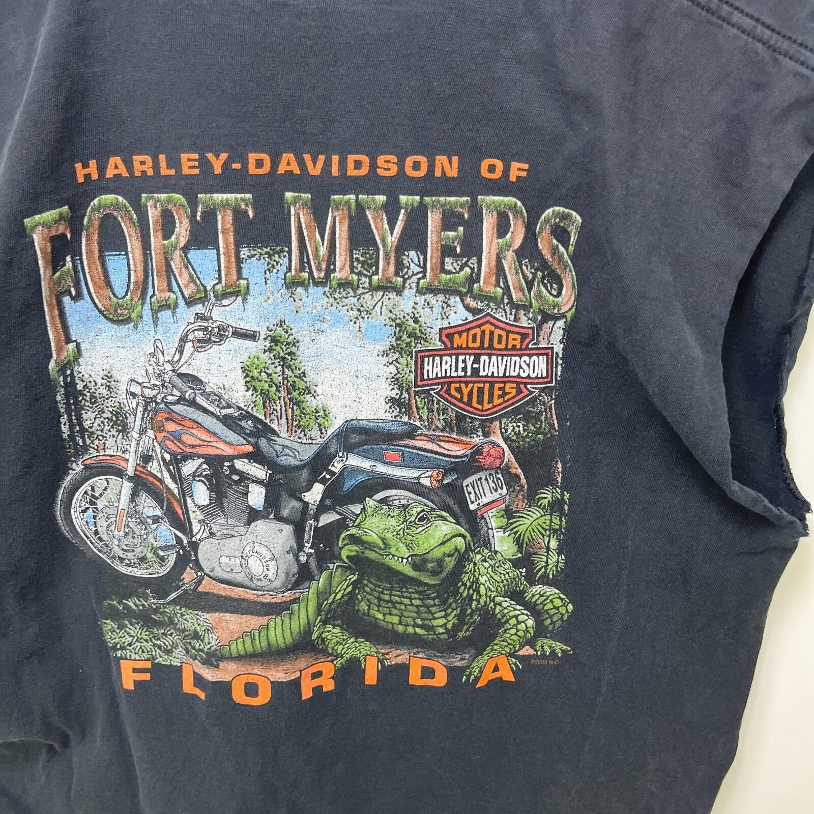 Harley Davidson Vintage Harley Davidson Flames Sun Faded Sleeveless Shirt XL Size US XL / EU 56 / 4 - 8 Thumbnail