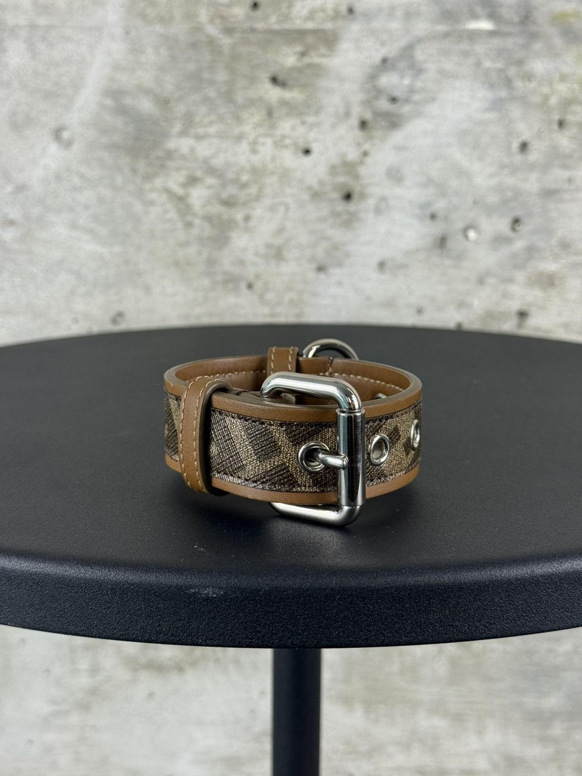 Fendi Dog Collar