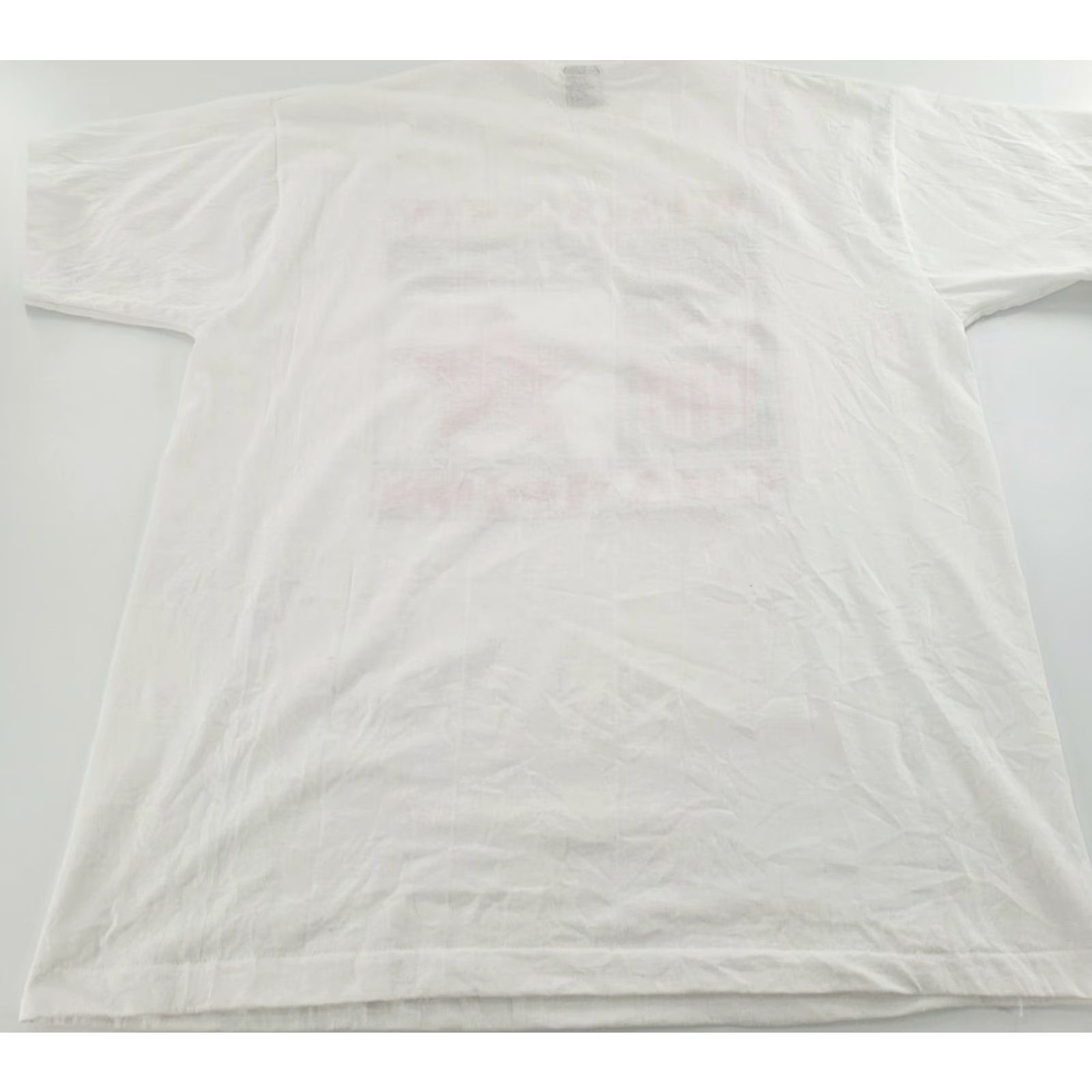 Fruit Of The Loom VINTAGE Fruit of the Loom Wisconsin State USA Swimming Champion T-Shirt Adult XL White 90s Crew Neck Graphic Print Mens Size US XL / EU 56 / 4 - 5 Thumbnail