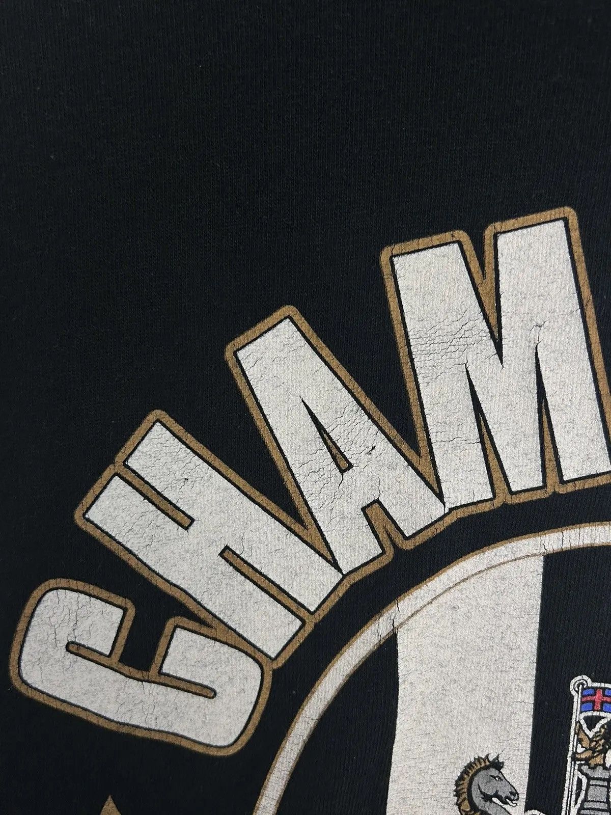 Other Newcastle United Coca-Cola Cup 2009/10 Champions T-Shirt Size US M / EU 48-50 / 2 - 3 Thumbnail