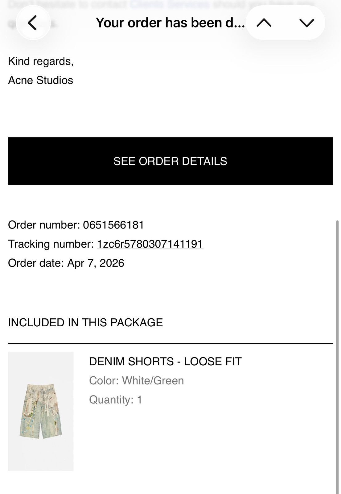 Acne Studios Acne Studios Trompe L’oeil Shorts Size US 34 / EU 50 - 12 Thumbnail