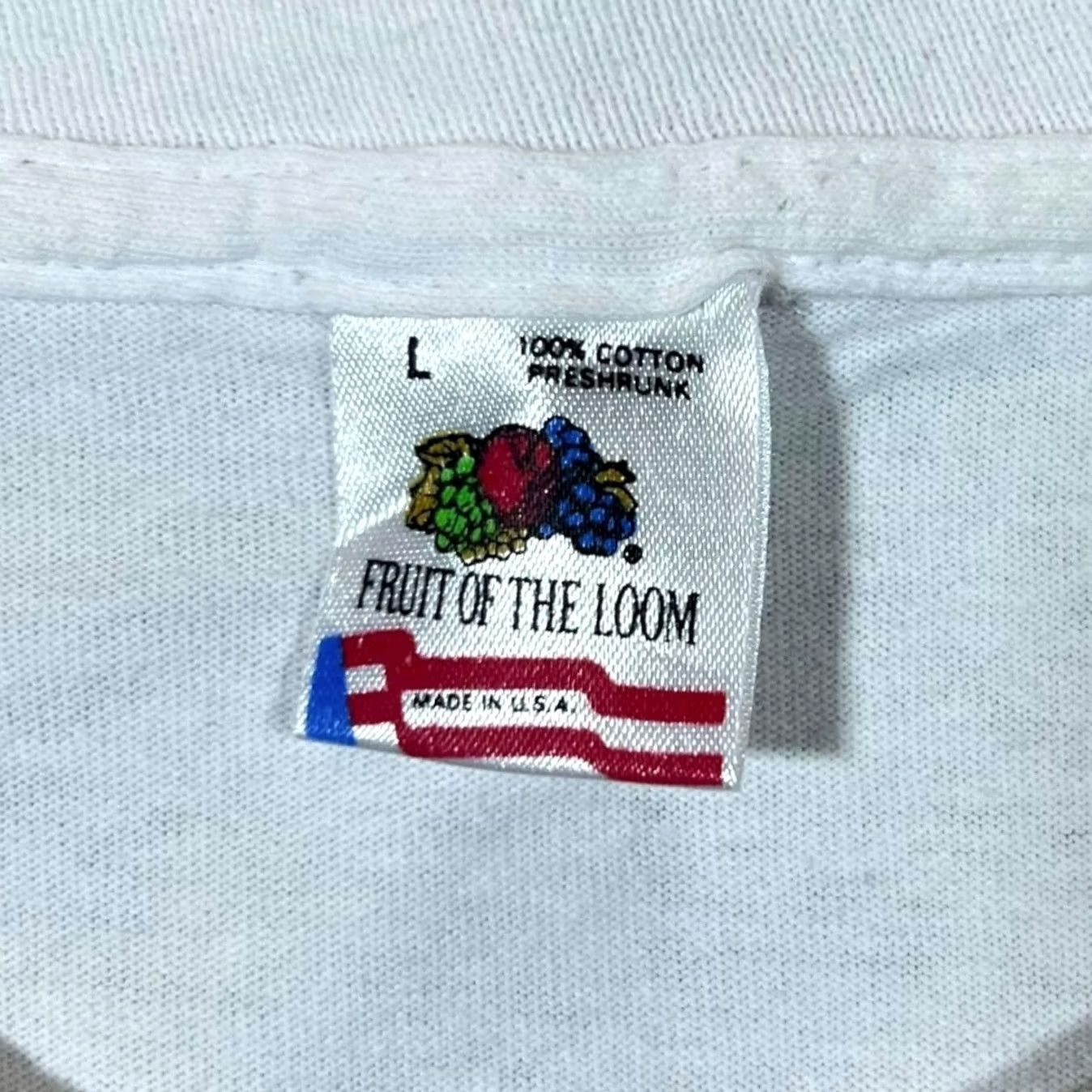 Fruit Of The Loom VINTAGE Fruit of the Loom T-Shirt Washington D.C. Graphic Print White 1990s Mens M Short Sleeve Crew Neck Size US M / EU 48-50 / 2 - 3 Thumbnail