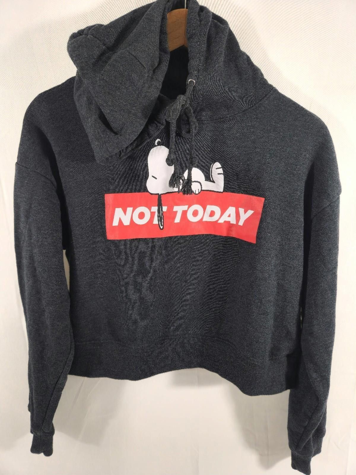 Peanuts Peanuts Snoopy Not Today Gray Crop Hoodie Sweater Size m Size M / US 6-8 / IT 42-44 - 1 Thumbnail