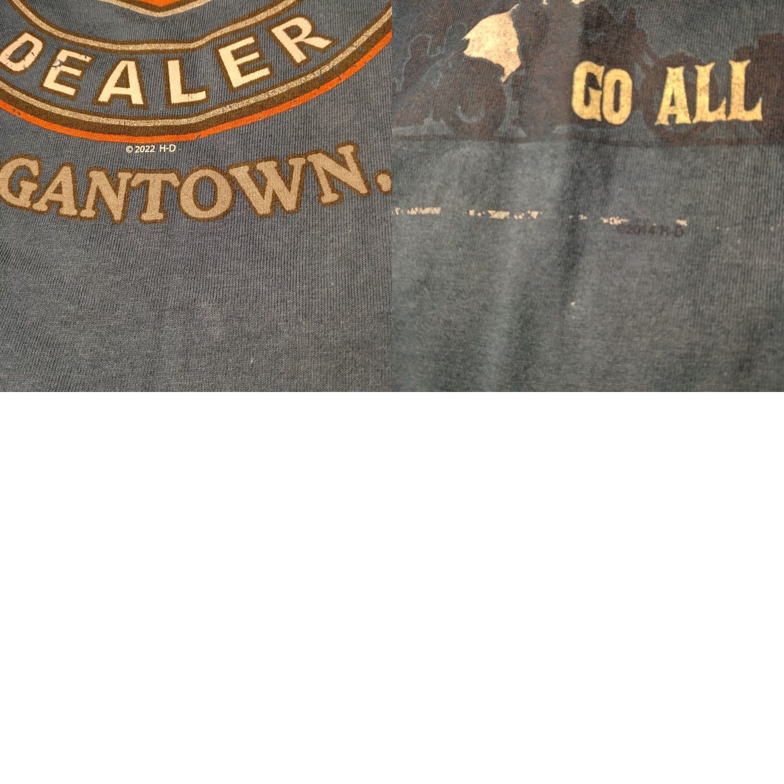 Harley Davidson Harley-Davidson Batman Shirt Small Blue Mountaineer Joker Run T-Shirt Size US S / EU 44-46 / 1 - 9 Thumbnail