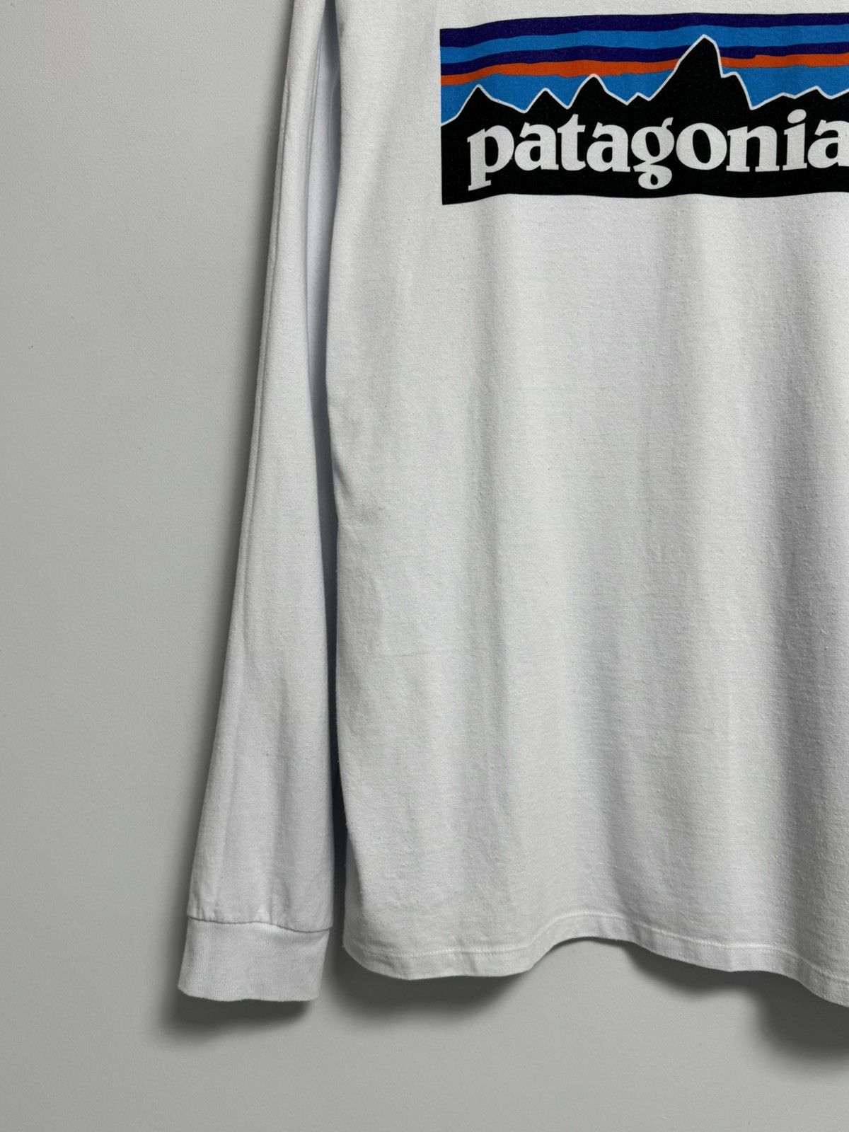 Patagonia Patagonia Long Sleeve Y2K style Hype Size US L / EU 52-54 / 3 - 4 Thumbnail