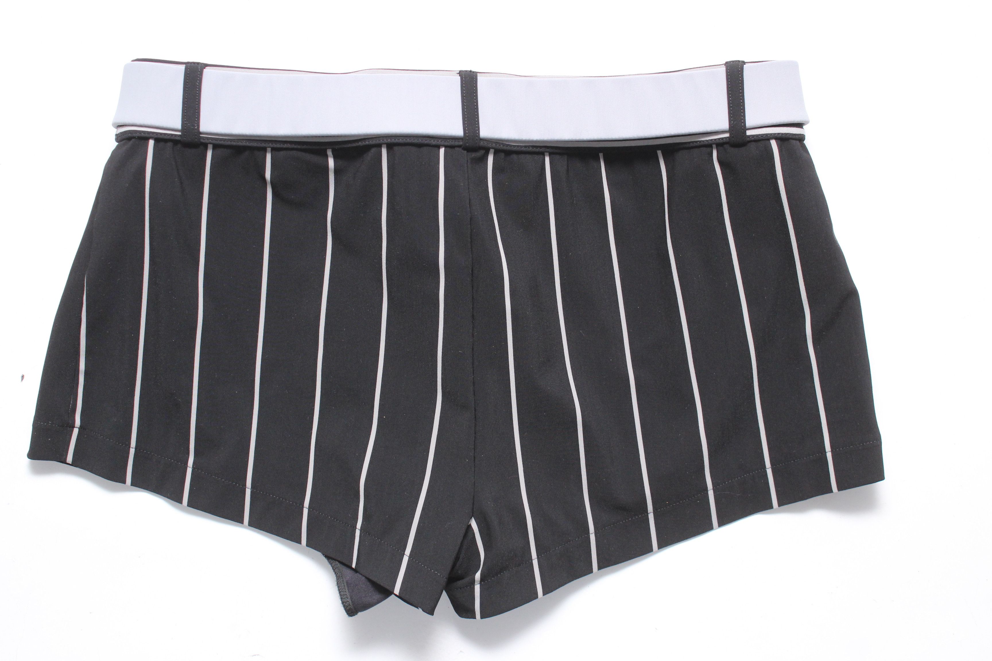 Dolce & Gabbana Dolce Gabbana Pinstripe Swim Briefs with Gold DG Buckle Sz S Size US 30 / EU 46 - 4 Thumbnail