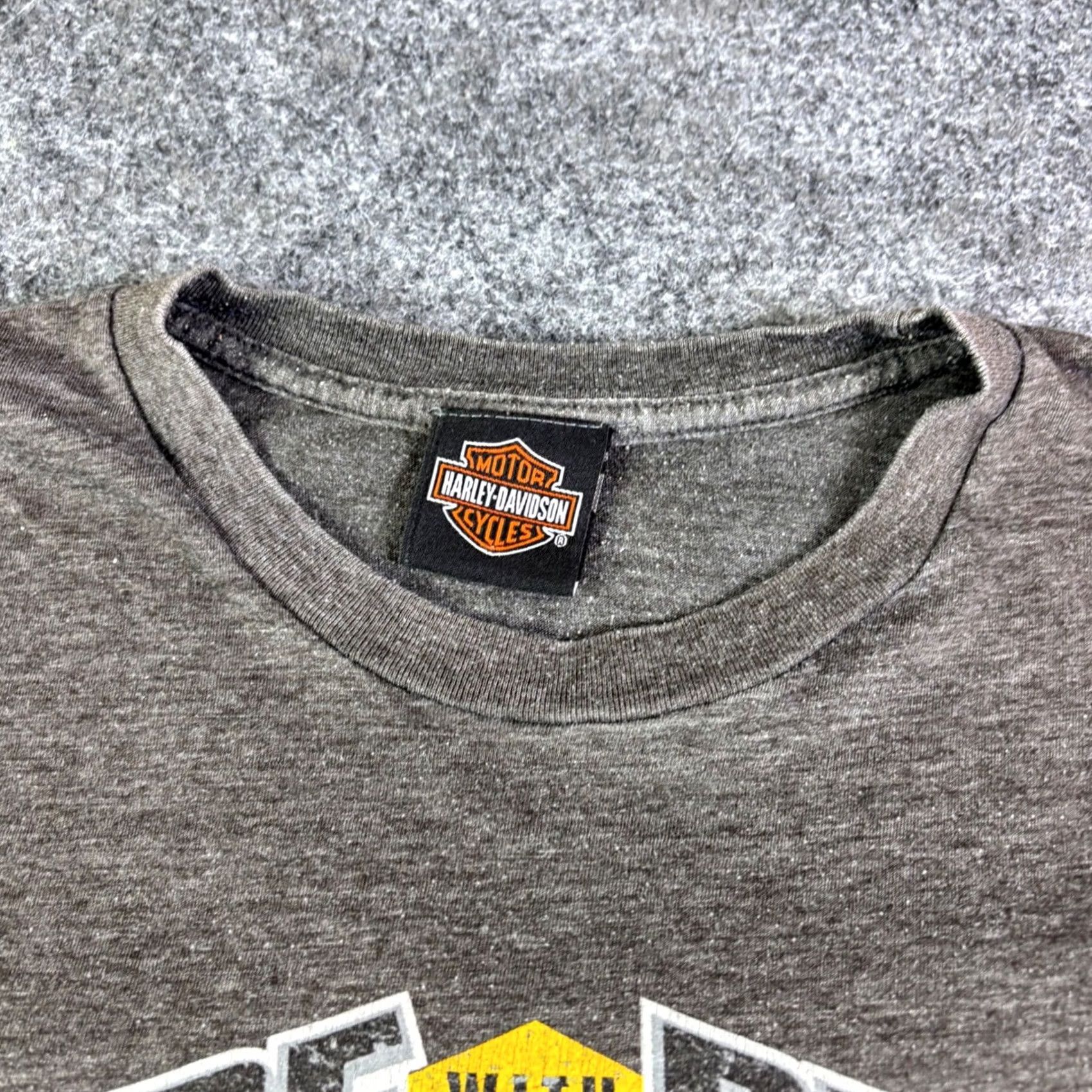 Harley Davidson Harley-Davidson Flaming Gorge Wyoming Eagle Graphic T-Shirt Gray Mens XL Size US XL / EU 56 / 4 - 3 Thumbnail