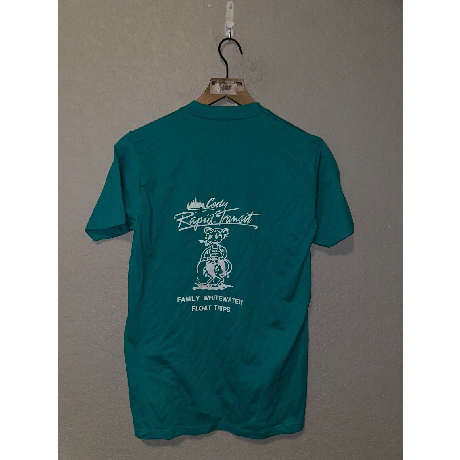 Jerzees Vintage Native American Shirt Test Print Tee Teal 80s VTG M Size US M / EU 48-50 / 2 - 10 Thumbnail