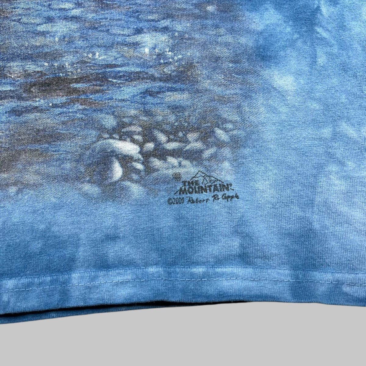 The Mountain × Vintage Vintage 2001 Brown Bears Nature The Mountain Graphic Tee Size US M / EU 48-50 / 2 - 9 Thumbnail