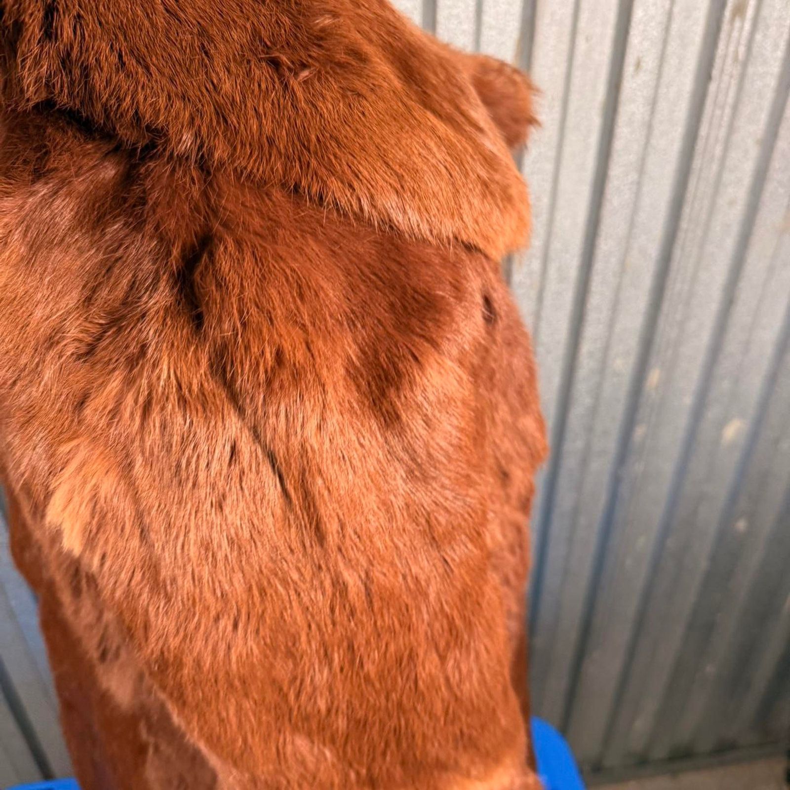 Other Brown faux fur coat Size S / US 4 / IT 40 - 3 Thumbnail