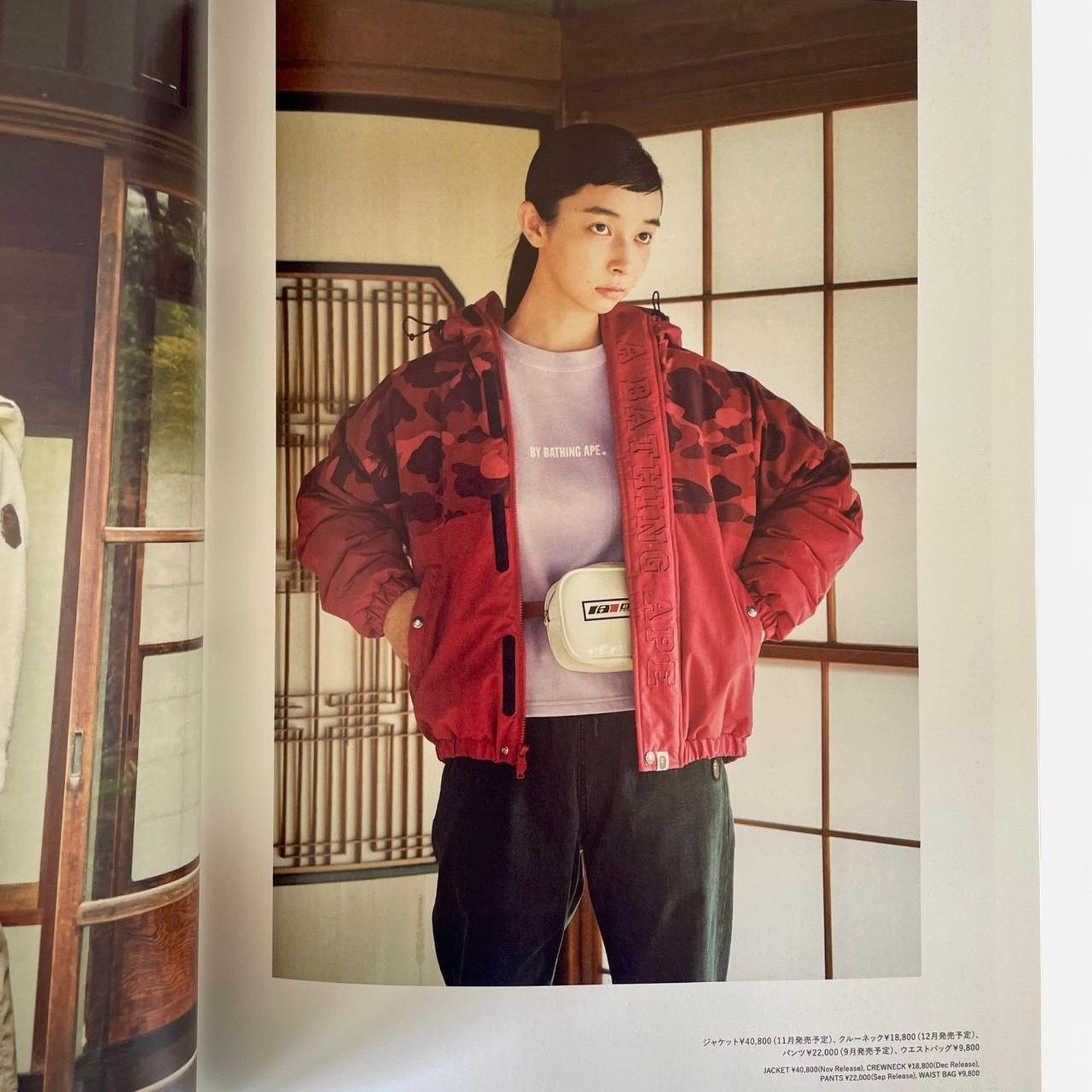 Bape × Japanese Brand × Nigo BAPE A bathing Ape Autumn Winter 2019 catalog magazine Size ONE SIZE - 2 Thumbnail
