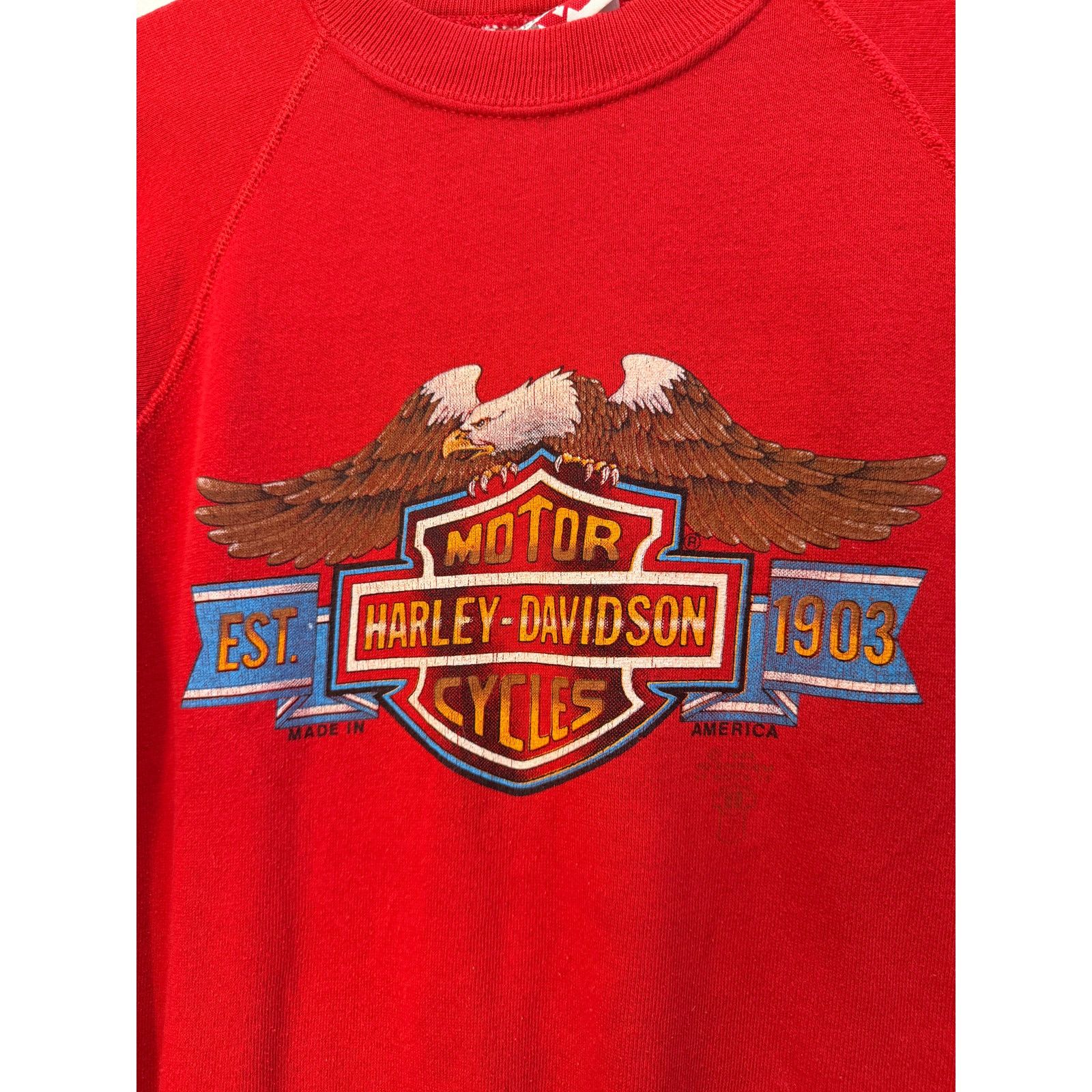 Harley Davidson Vintage Harley Davidson 80's Fairbanks Alaska Longsleeve Tee Size US S / EU 44-46 / 1 - 2 Thumbnail