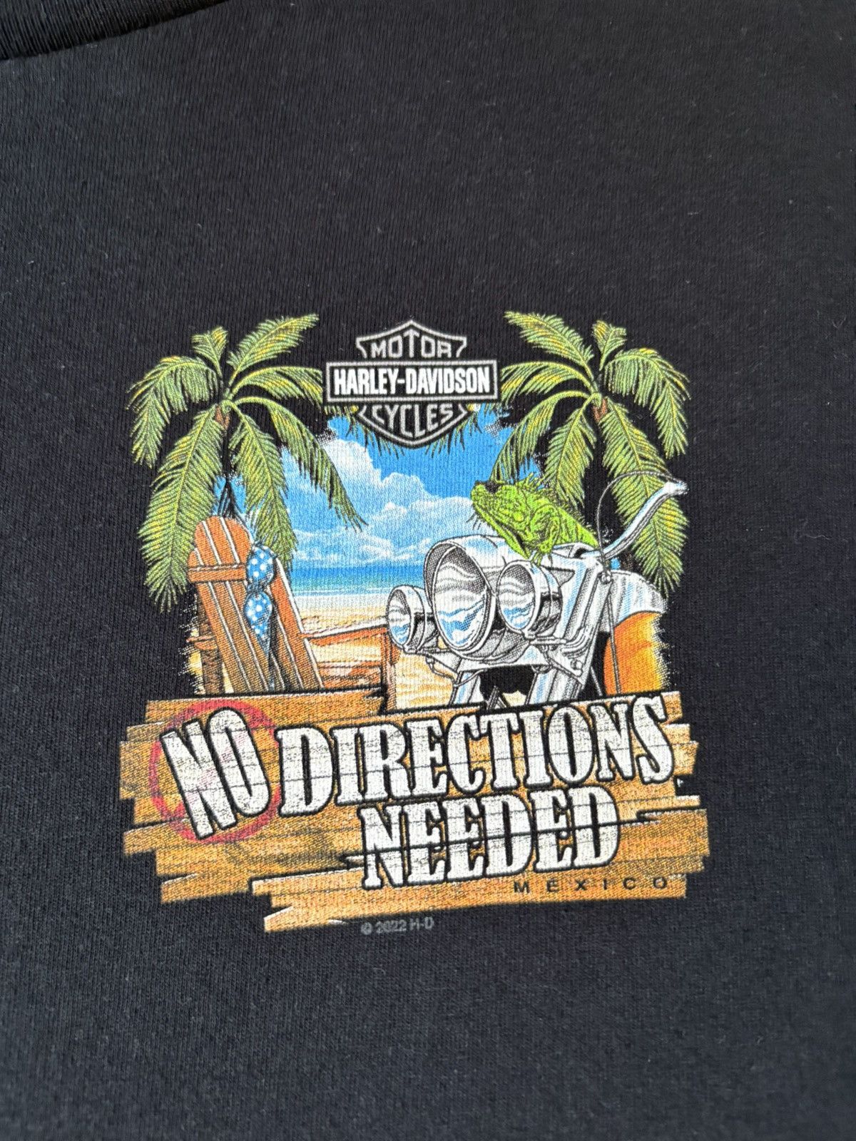 Harley Davidson Harley Davidson Mexico Biker T-shirt Large Size US L / EU 52-54 / 3 - 4 Thumbnail