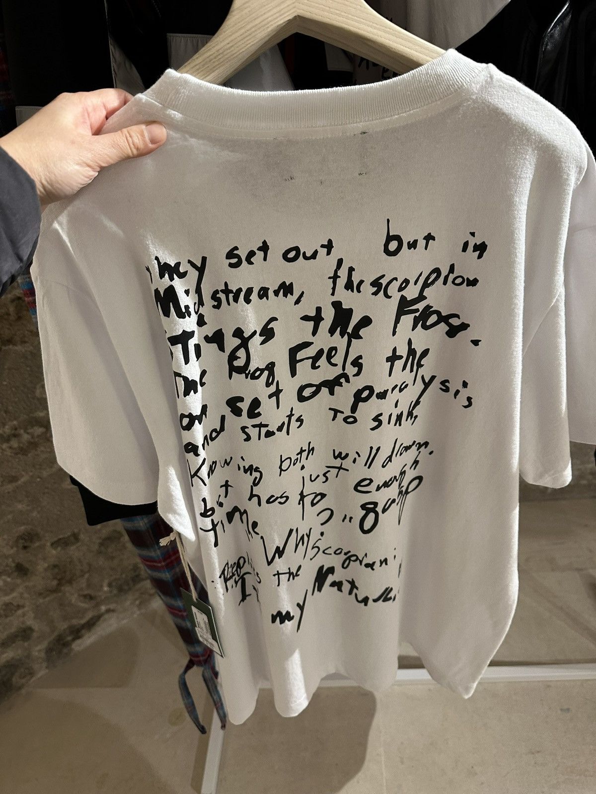 DENIM TEARS Denim Tears The Scorpion and The Frog Fable Tee FW24 Size US L / EU 52-54 / 3 - 15 Thumbnail
