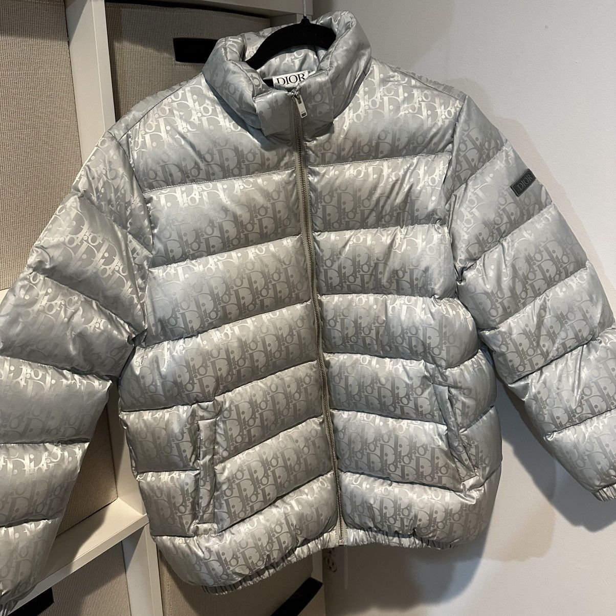 Dior Oblique Hooded Down Jacket Silver-Tone