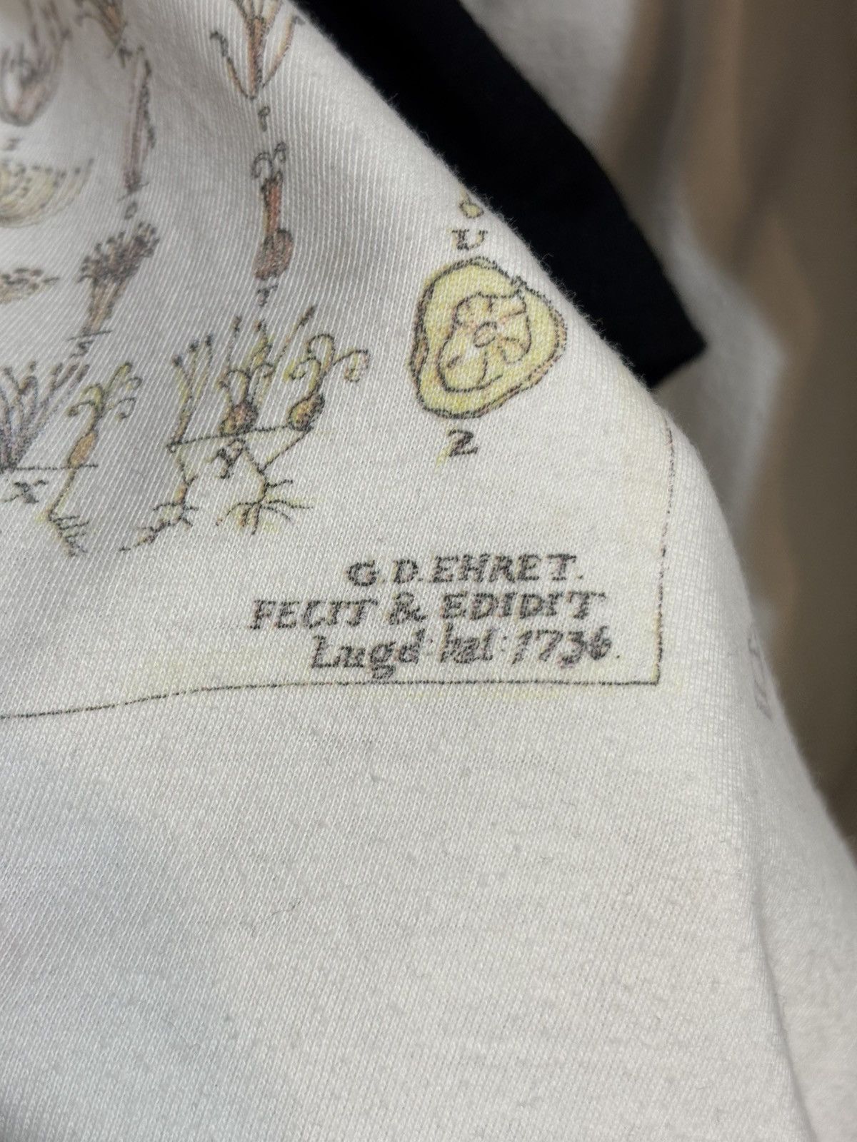 Vintage Rare VTG Linnaeus Methodus Plantarum Tee Lotta Dale Science Size US L / EU 52-54 / 3 - 7 Thumbnail