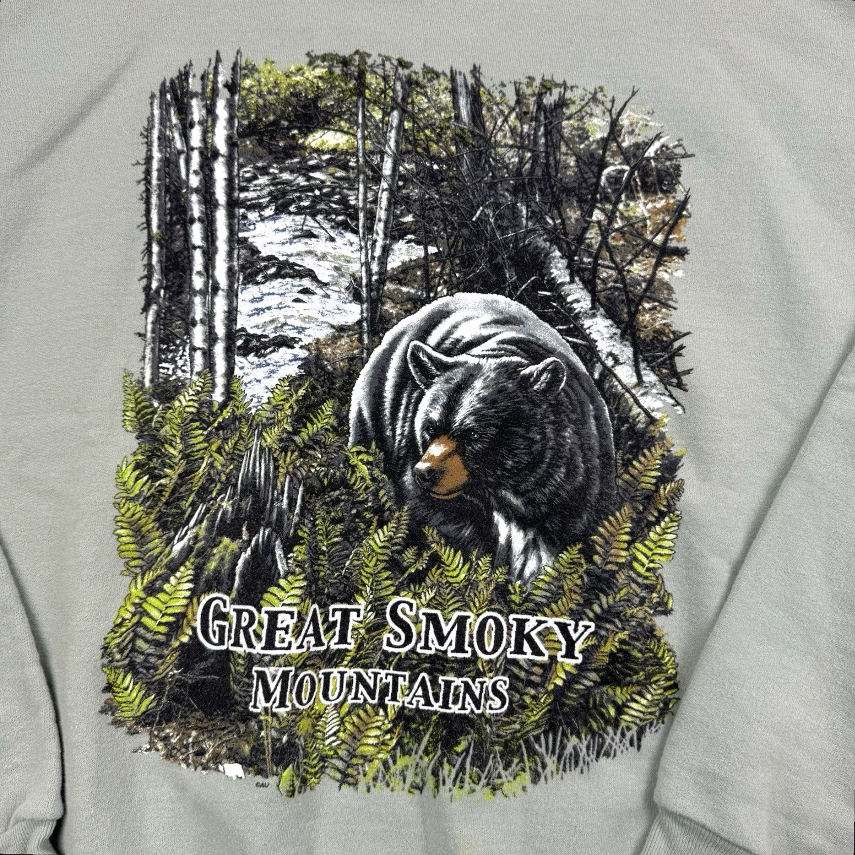 Hanes VINTAGE Hanes Sweatshirt Men Large Green Nature Bear Graphic 90s Outdoor Pullover Size US L / EU 52-54 / 3 - 2 Thumbnail