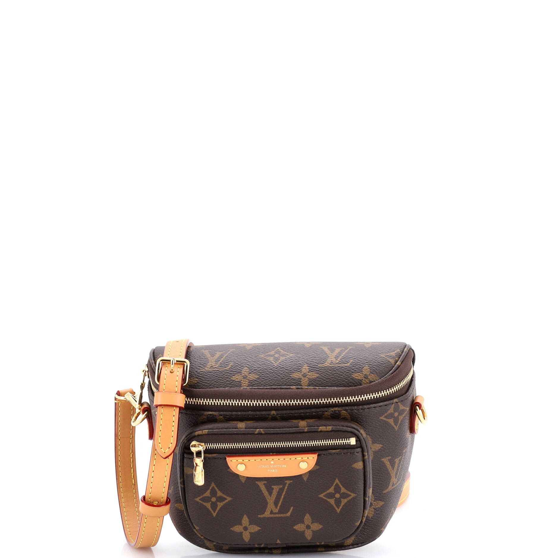 Louis Vuitton Bum Bag Size ONE SIZE - 1 Thumbnail