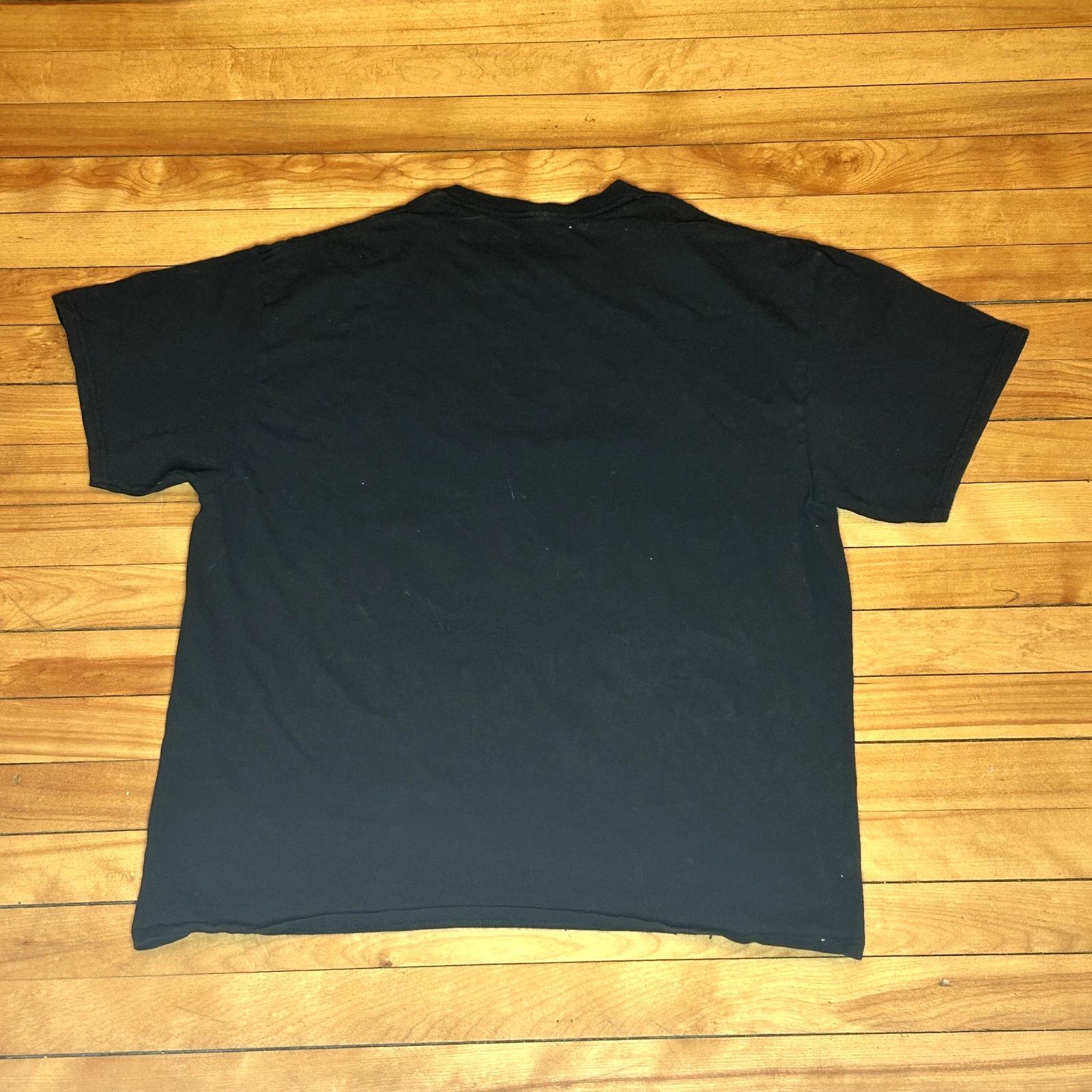 Vintage Insane Y2K Oregon Trail T-Shirt Size US L / EU 52-54 / 3 - 4 Thumbnail