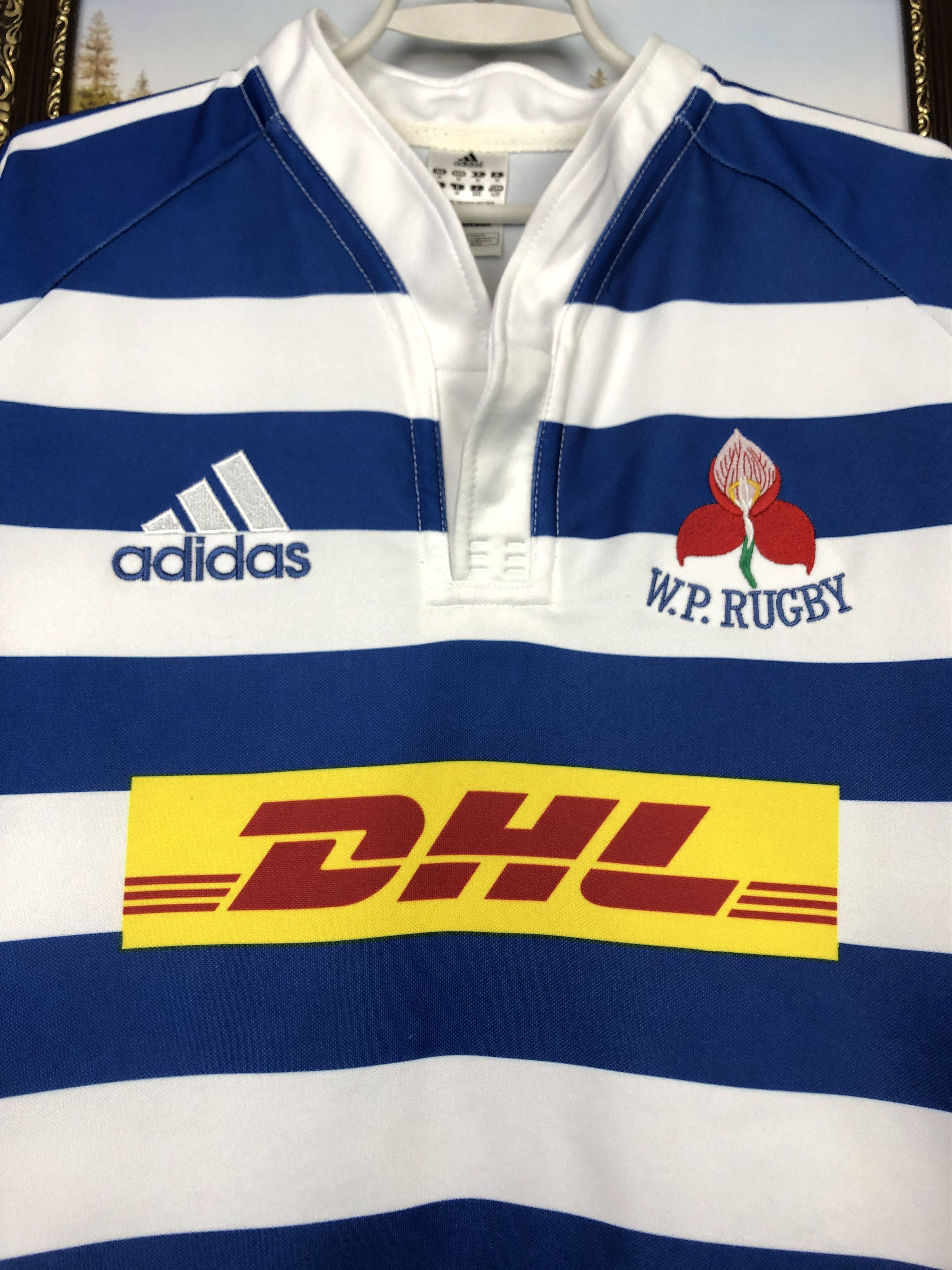 Adidas Western Province Currie Cup Rugby Union Shirt Jersey Tee Size US M / EU 48-50 / 2 - 3 Thumbnail