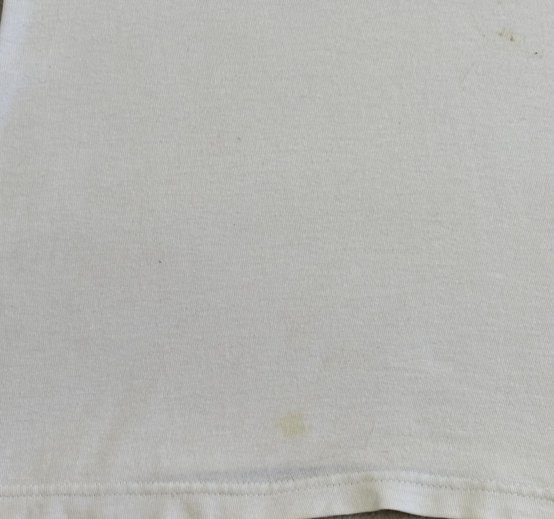 Stussy Stussy Desert Bloom T-shirt Size. XS Size US XS / EU 42 / 0 - 9 Thumbnail