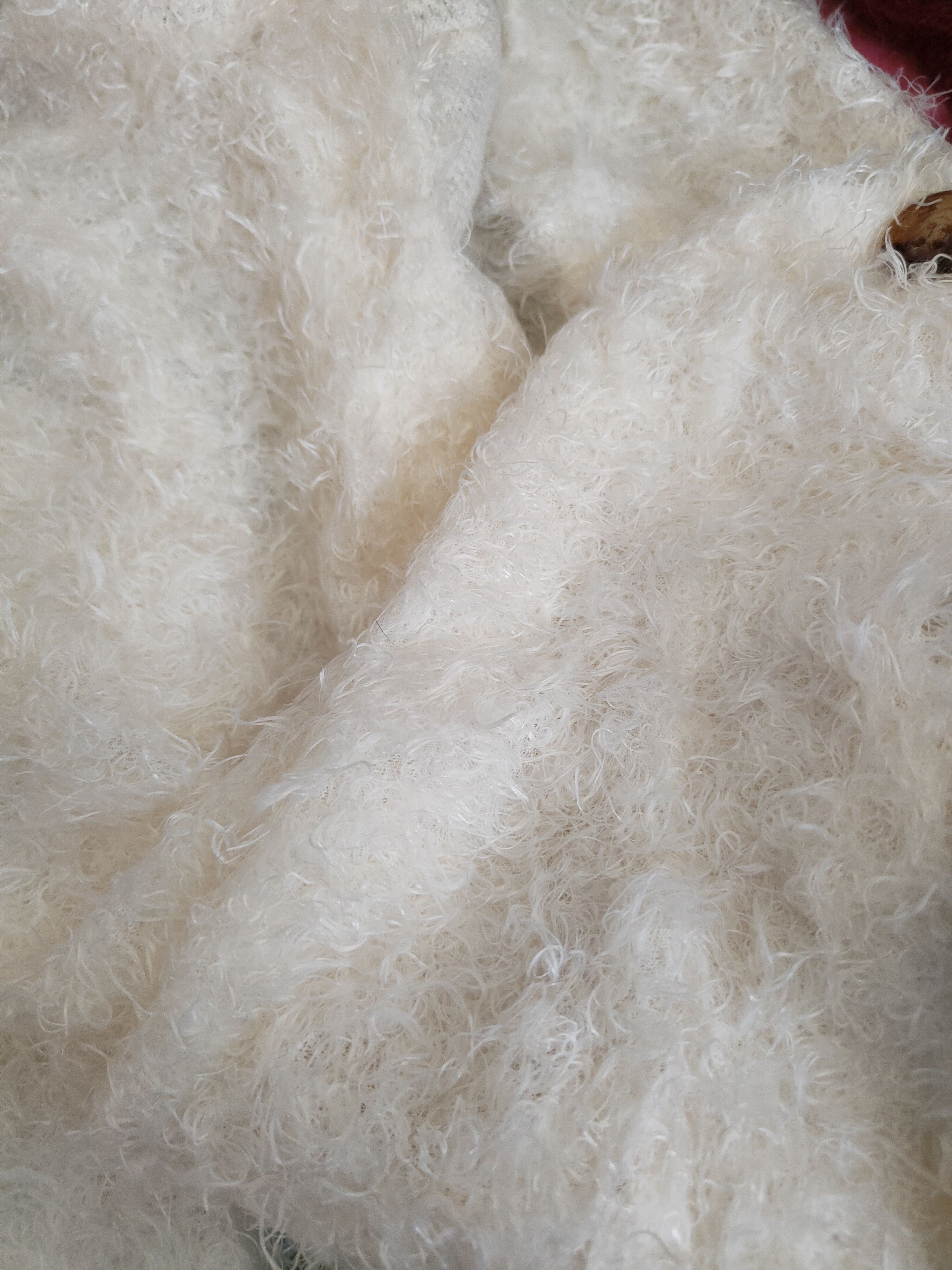 Homespun Knitwear × Japanese Brand Begum Ivory Shag Shaggy Fur Mohair Knitwear Cardigan #S2035 Size M / US 6-8 / IT 42-44 - 10 Thumbnail