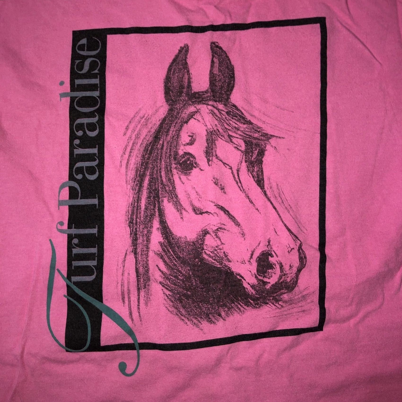 Anvil VINTAGE Anvil VTG Single Stitch T-Shirt Womens Medium Pink Horse Stitch Mens? Womens? (Note: Original indicates Womens) Size M / US 6-8 / IT 42-44 - 2 Thumbnail