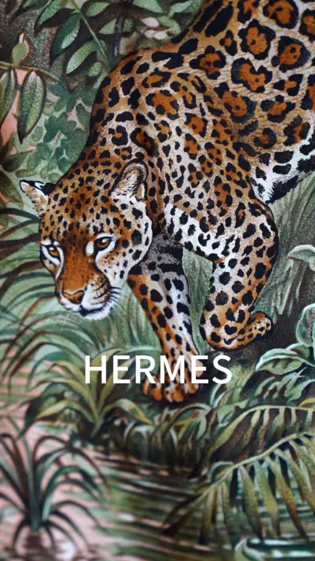 Hermes Hermes Rare Equateur Jungle Silk Shirtdress FR38 VNTG 1988 Size S / US 4 / IT 40 - 1 Thumbnail