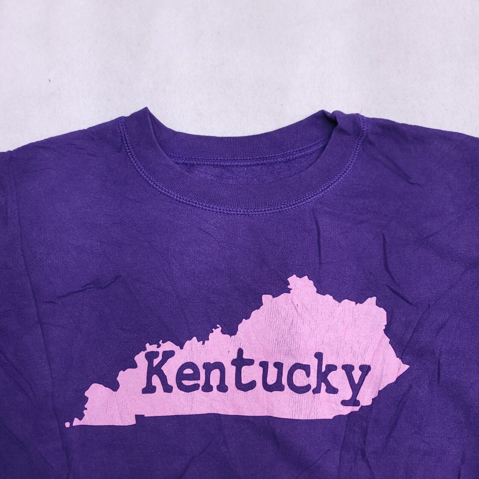 Gildan Kentucky Pullover Long Sleeve Sweatshirt Womens Size Large L Size L / US 10 / IT 46 - 1 Thumbnail