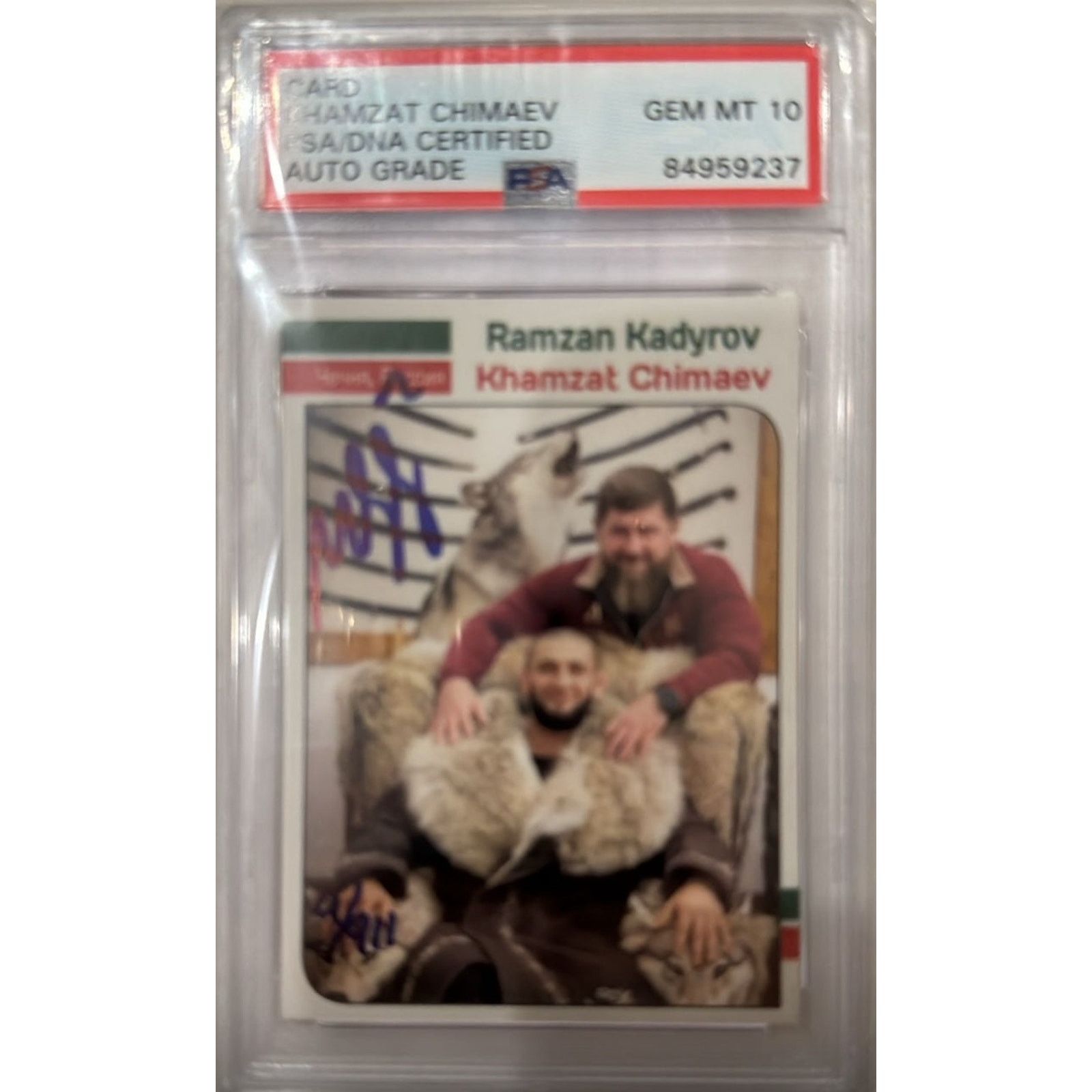 UFC Khamzat Chimaev Signed Ramzan Kadyrov The Wolves Den PSA 10 Size 26 - 1 Thumbnail