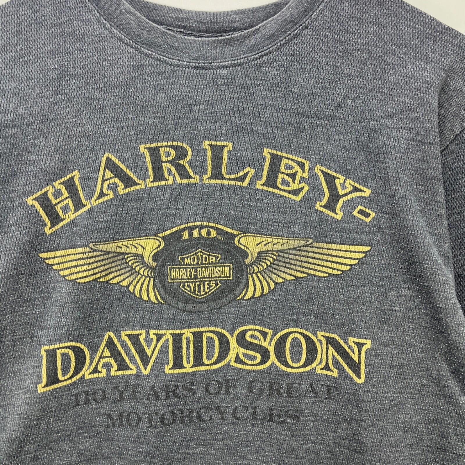 Other Vintage Harley-Davidson Long Sleeve Shirt Large Size ONE SIZE - 3 Thumbnail