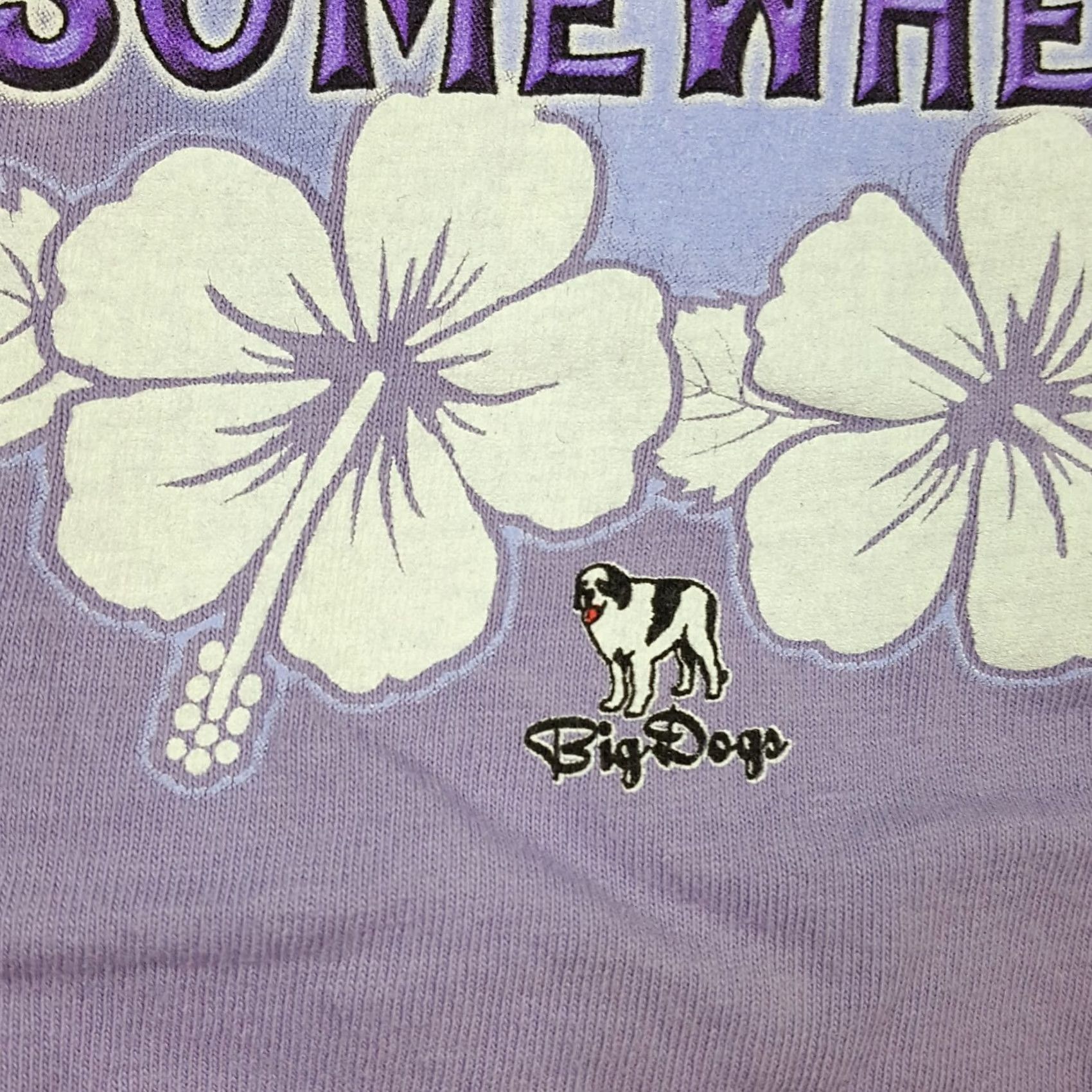 Big Dogs VINTAGE Big Dogs Margarita Size L Purple Flower Beach T Shirt 90s Tropical Womens Size US L / EU 52-54 / 3 - 3 Thumbnail