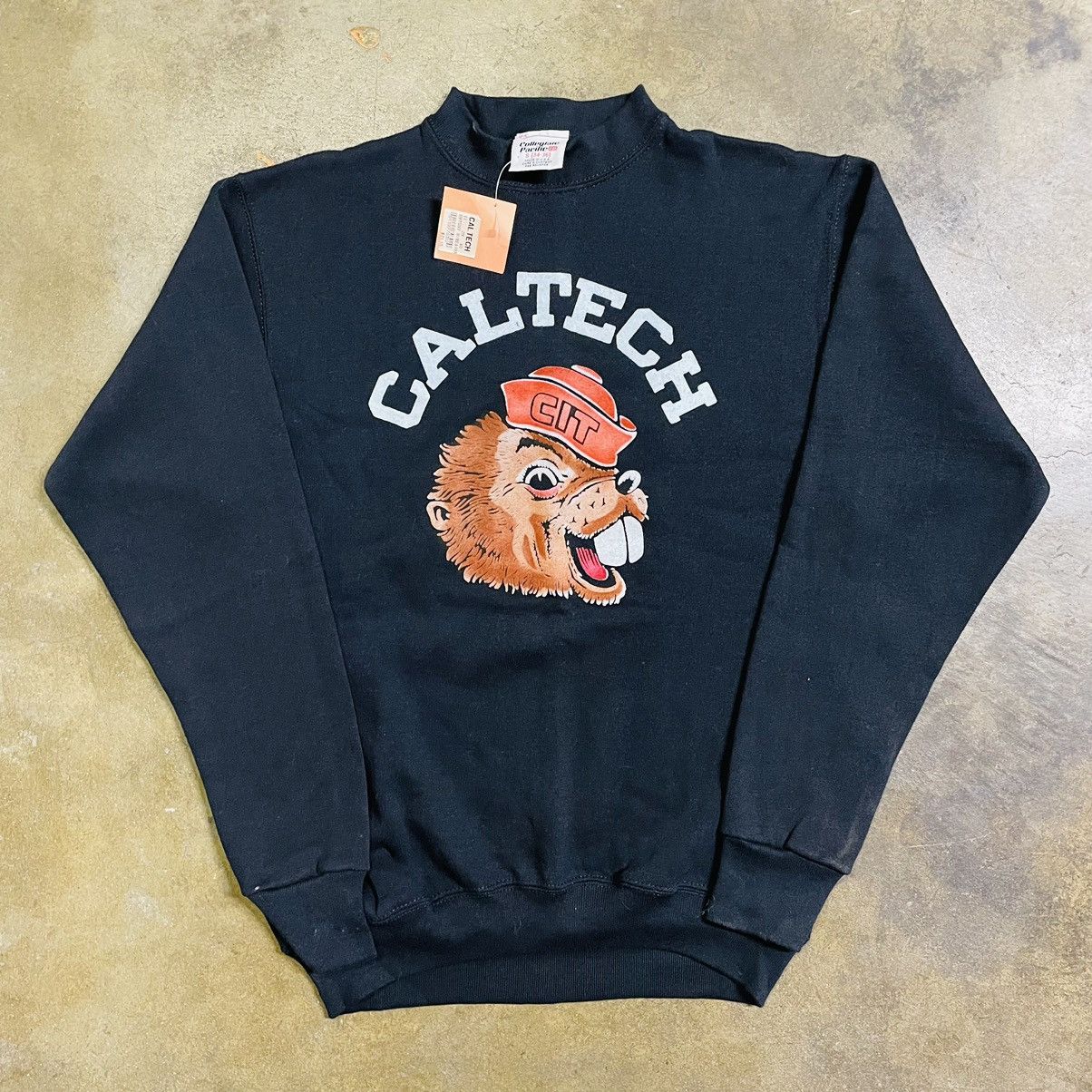 image of Archival Clothing x Collegiate Vintage 80's Caltech Flock Print Crewneck Sweatshirt NWT in Black (S